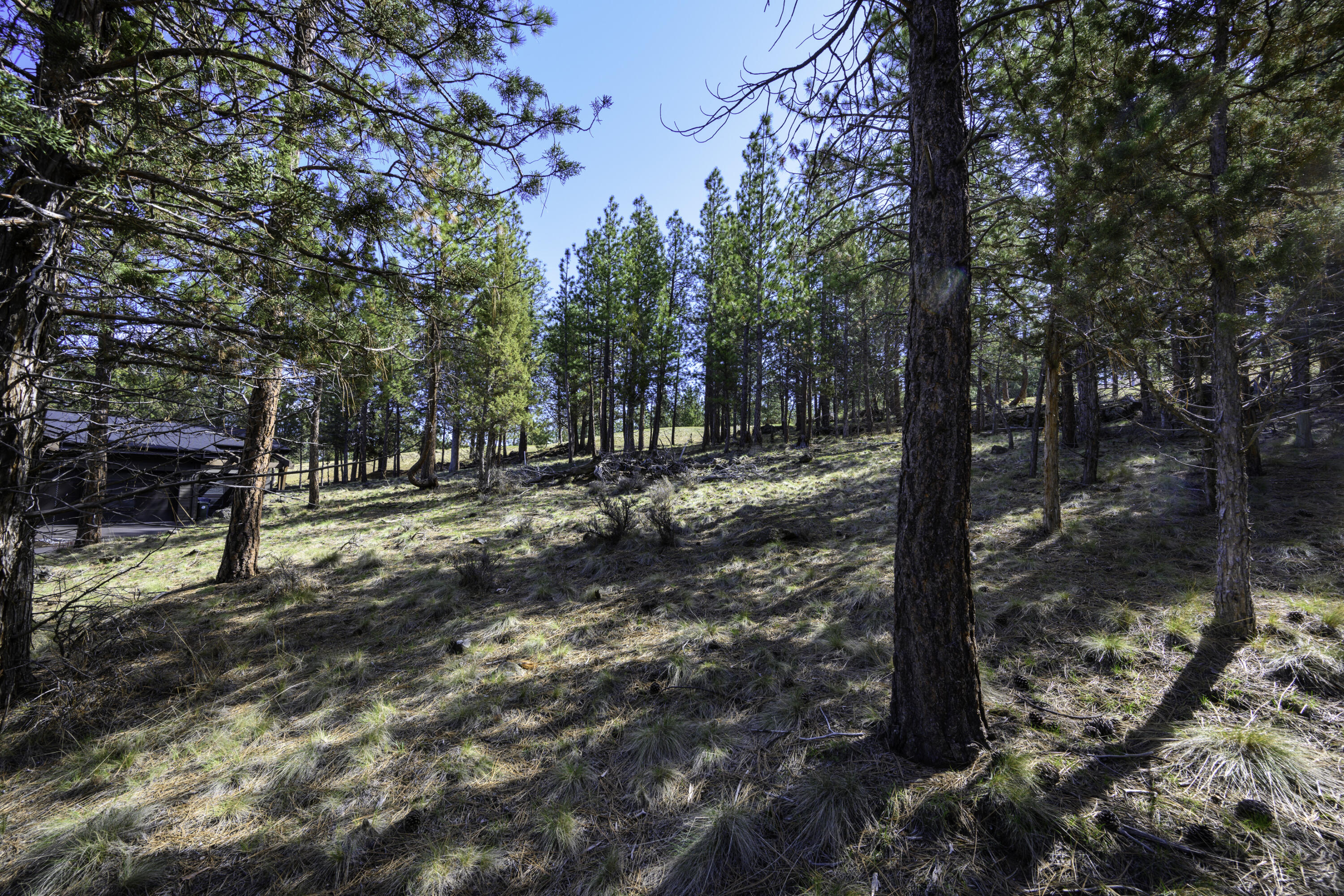 2638 NW Runyun Court