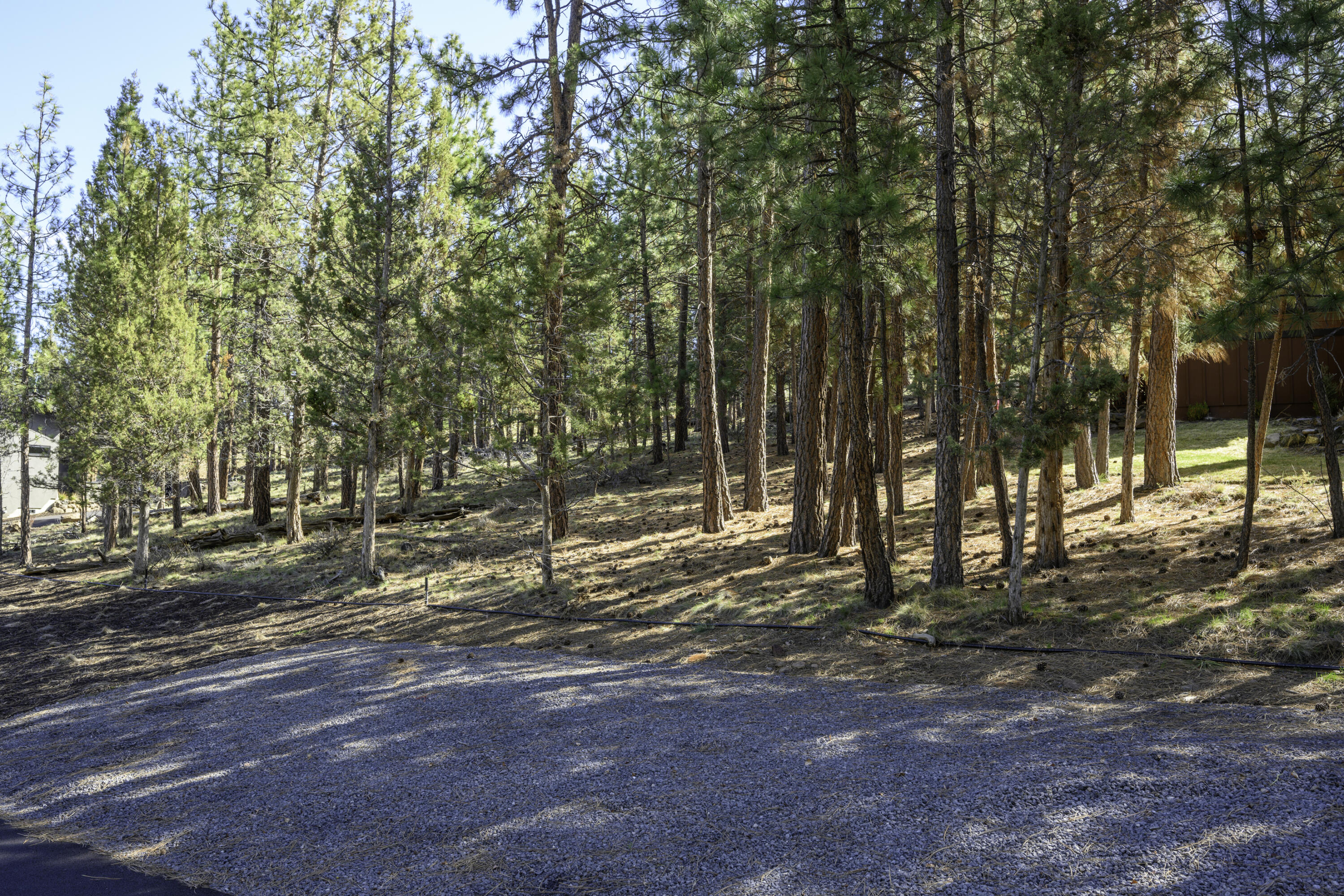 2638 NW Runyun Court