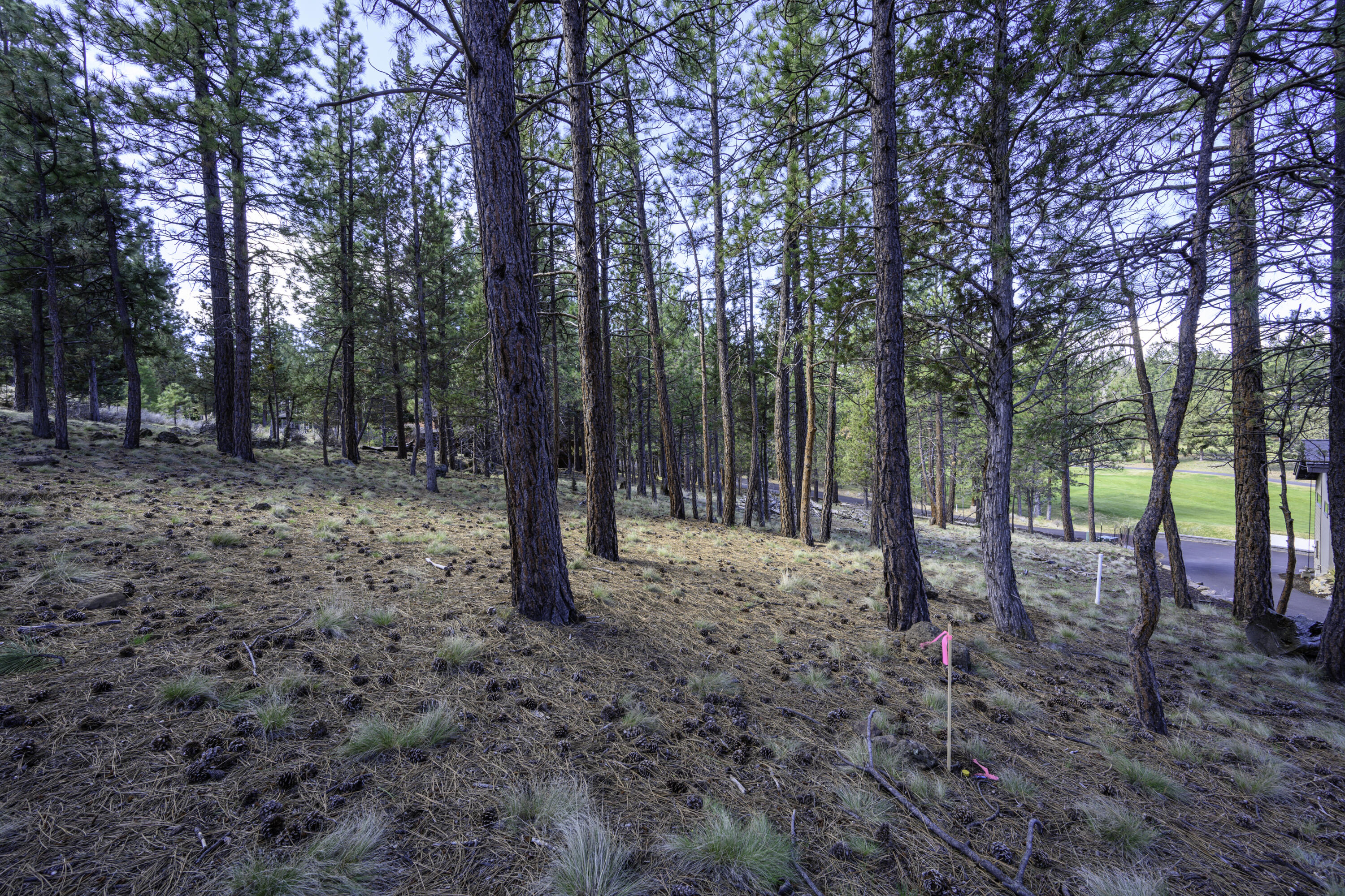 2638 NW Runyun Court