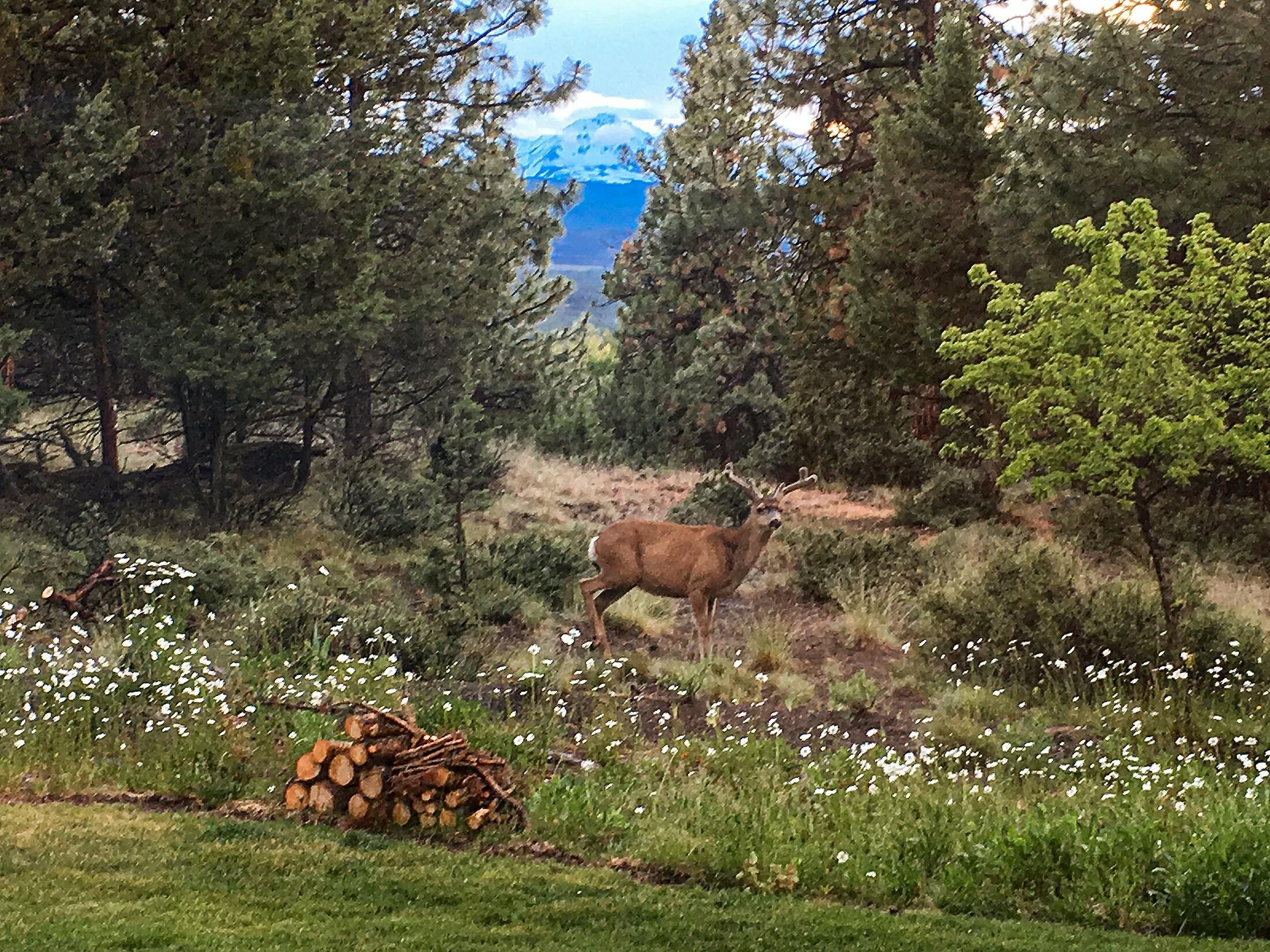 3045 NW Lawrence Court