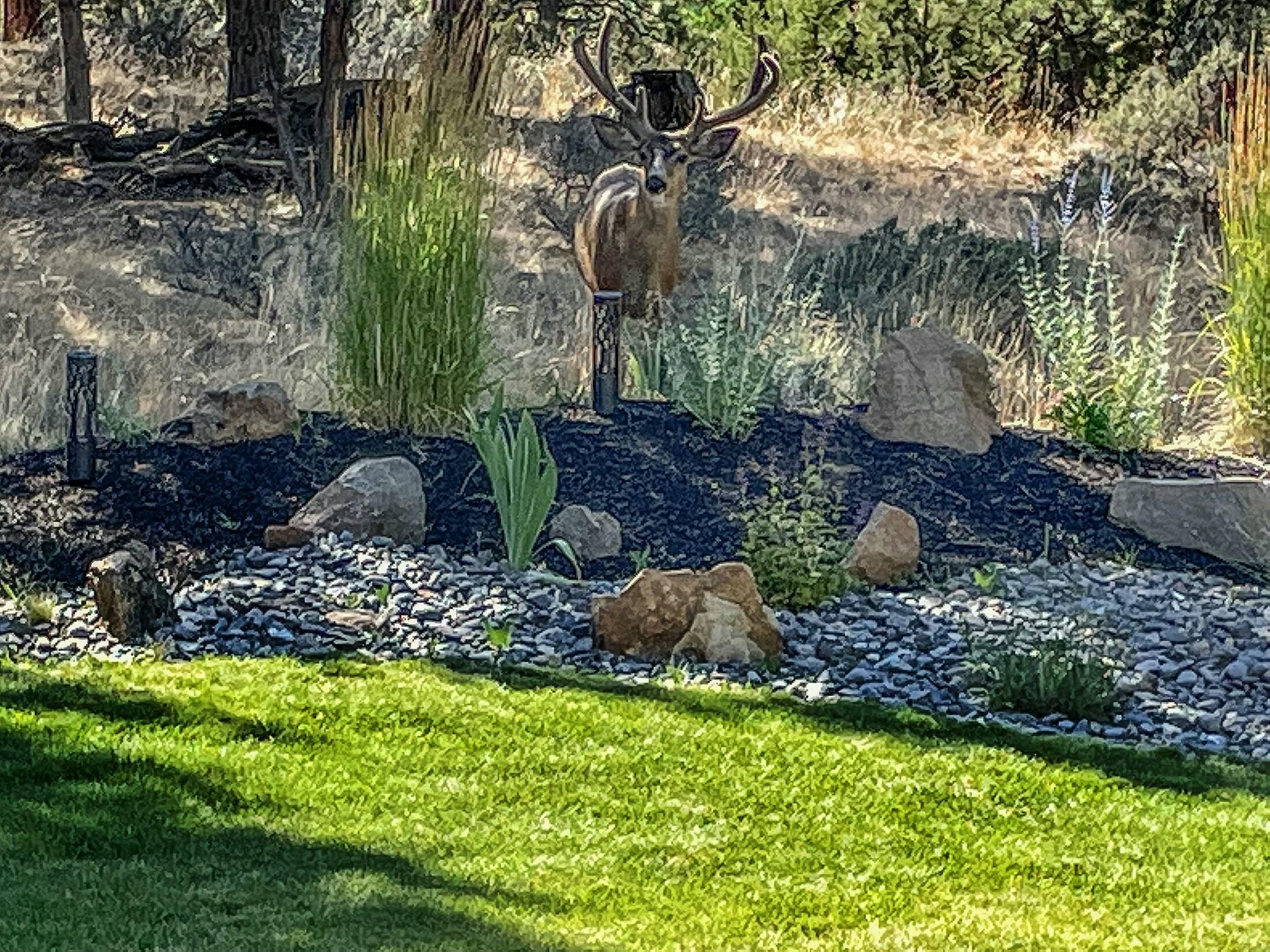 3045 NW Lawrence Court