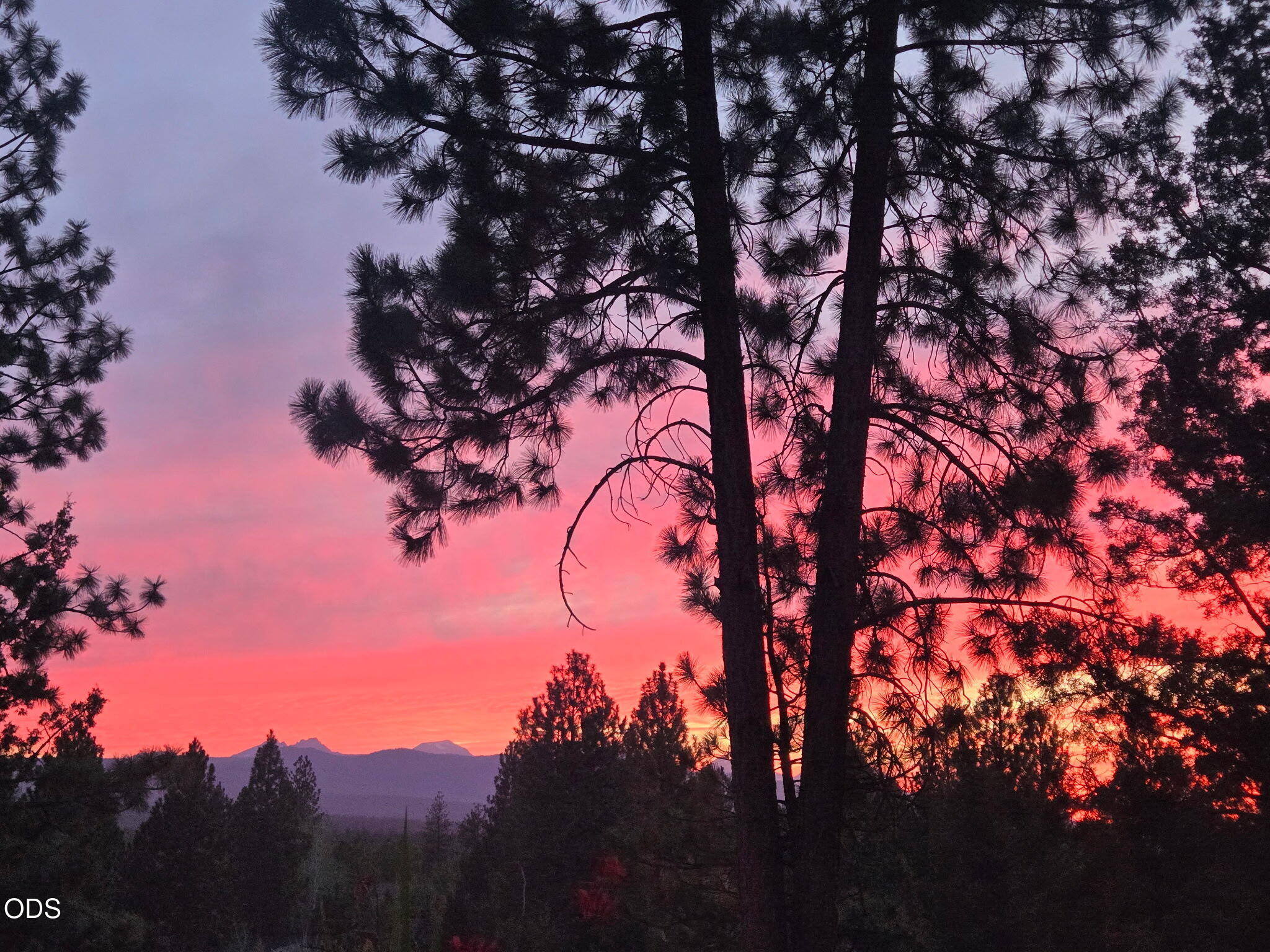 19151 Mount Shasta Court