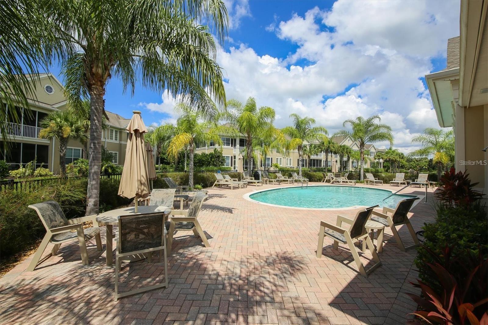 Community swimming pool with a brick patio, lounge chairs, and palm trees.
