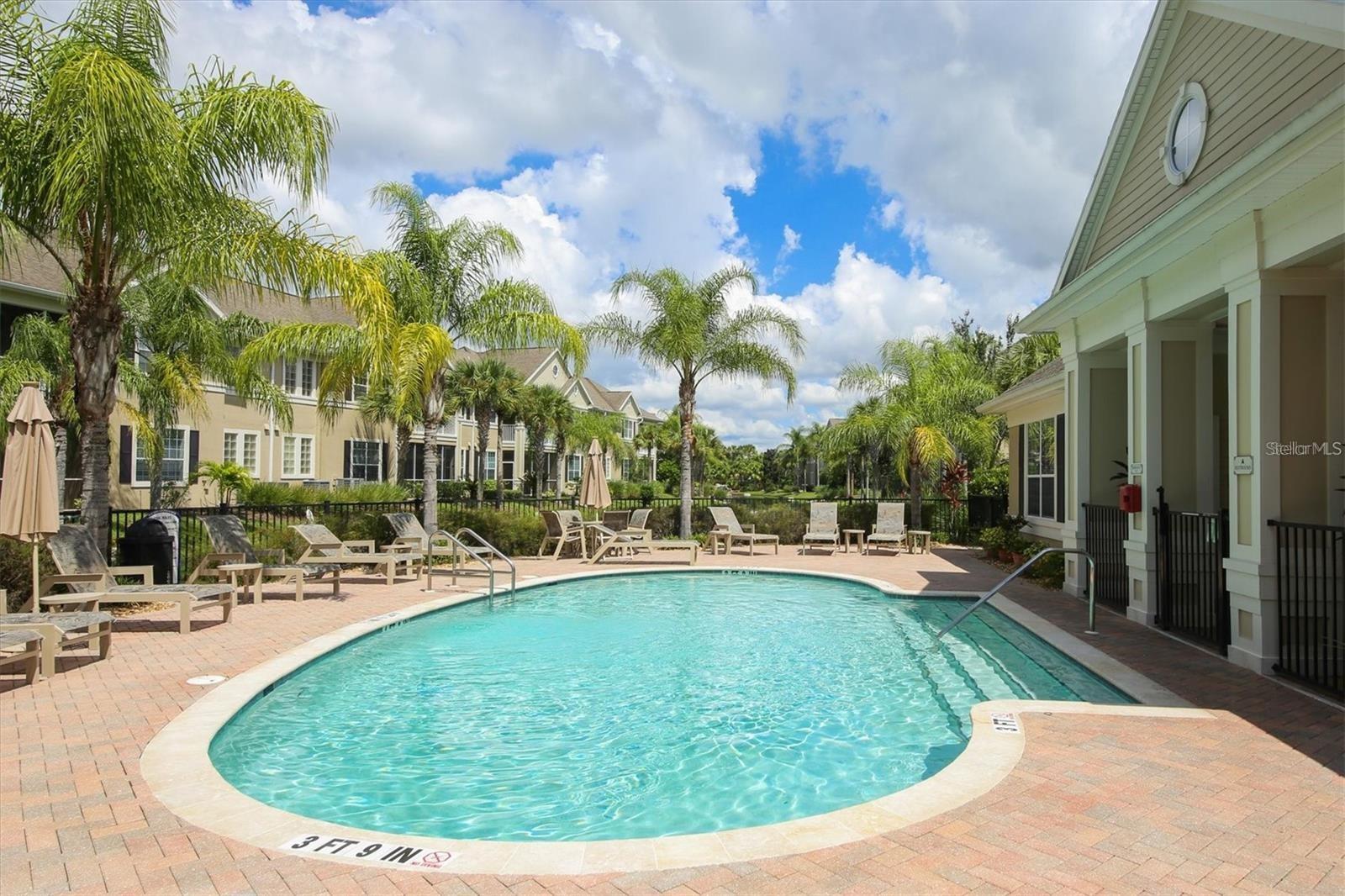 Outdoor swimming pool with a curved edge, brick patio, palm trees, and lounge chairs.