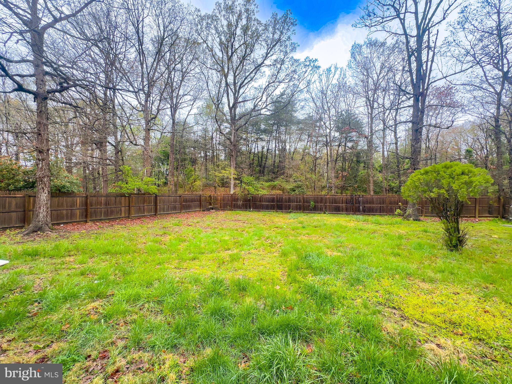 2204 HOLLY OAK COURT