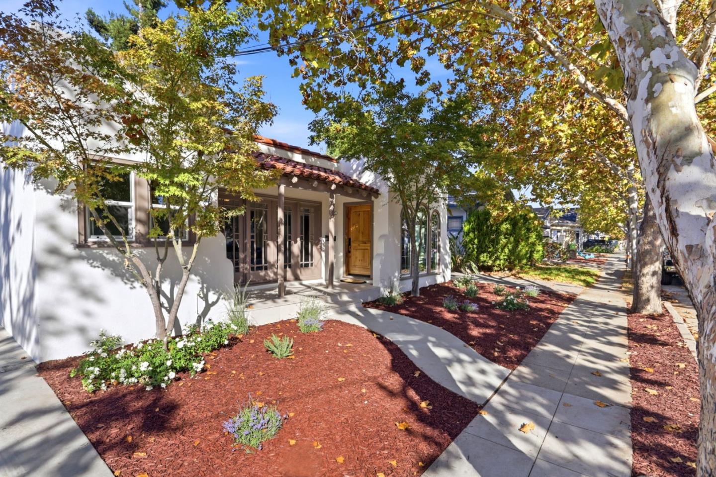 65 Cleaves AVE