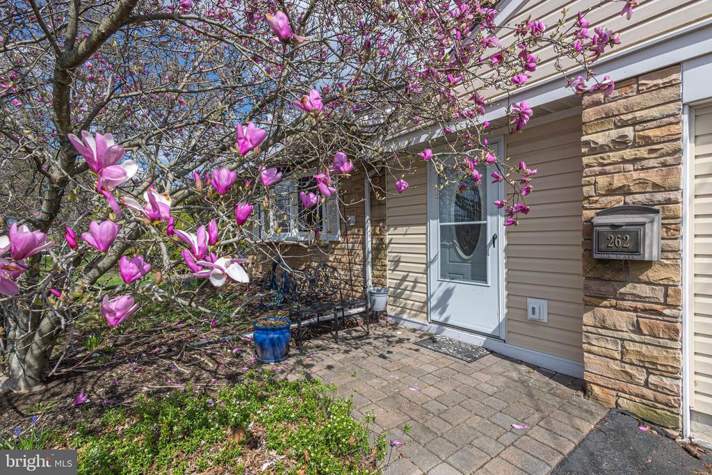 262 E BRANCH ROAD