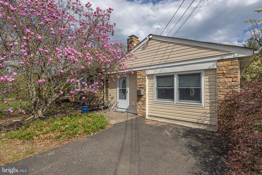 262 E BRANCH ROAD