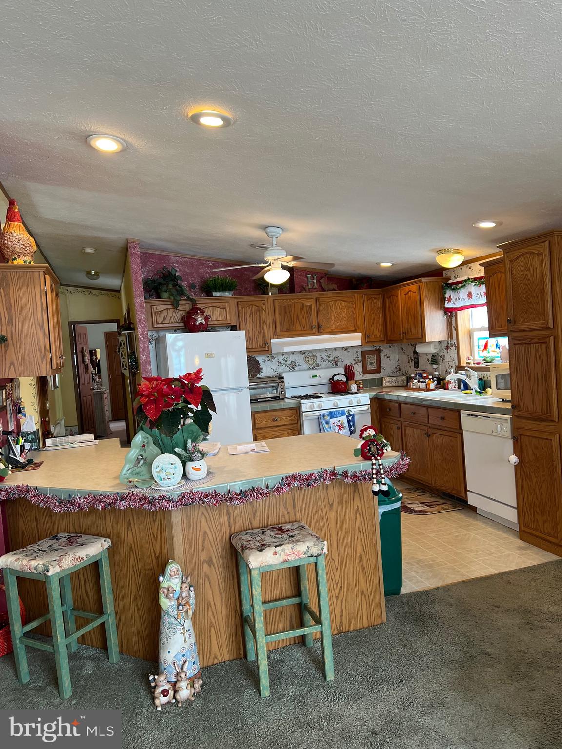 117 CONESTOGA DRIVE