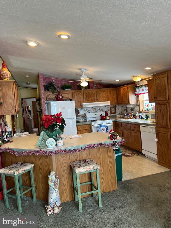 117 CONESTOGA DRIVE