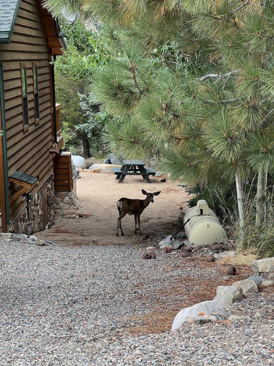 Westwood Drive Unit: Twin Lakes Subdivision lot #13