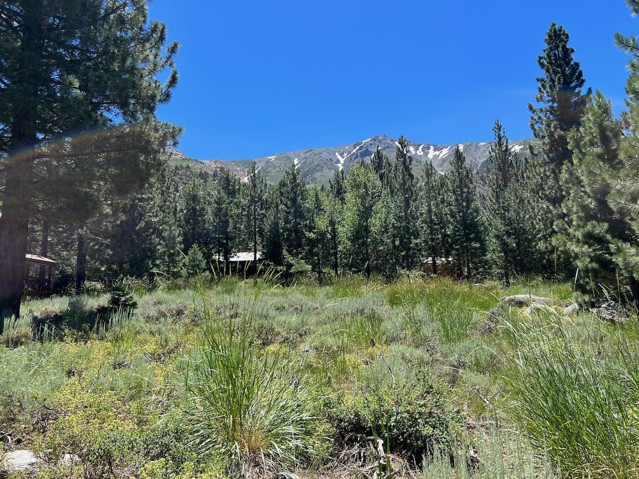 Westwood Drive Unit: Twin Lakes Subdivision lot #13