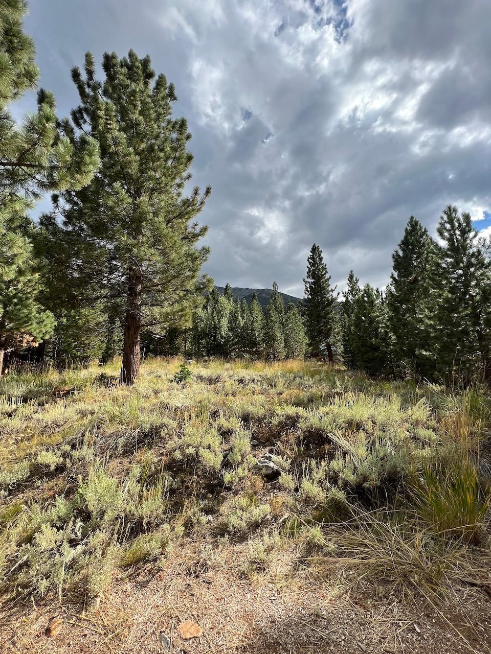 Westwood Drive Unit: Twin Lakes Subdivision lot #13