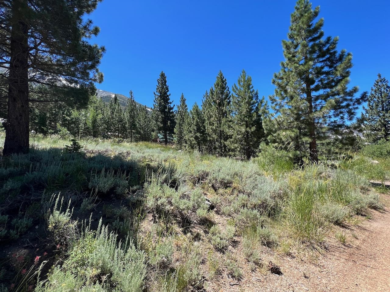 Westwood Drive Unit: Twin Lakes Subdivision lot #13