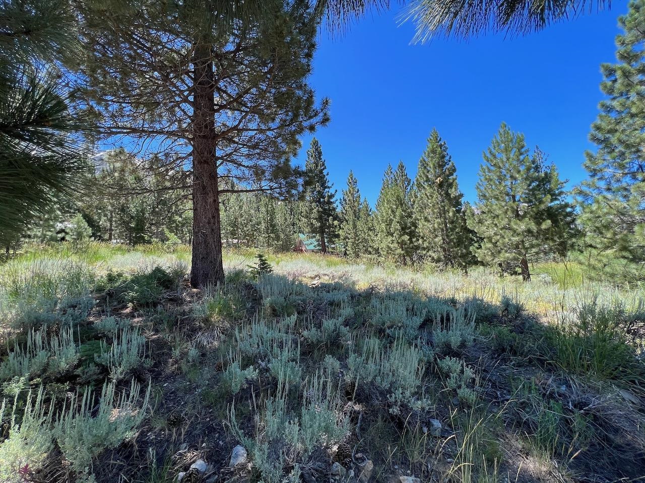 Westwood Drive Unit: Twin Lakes Subdivision lot #13