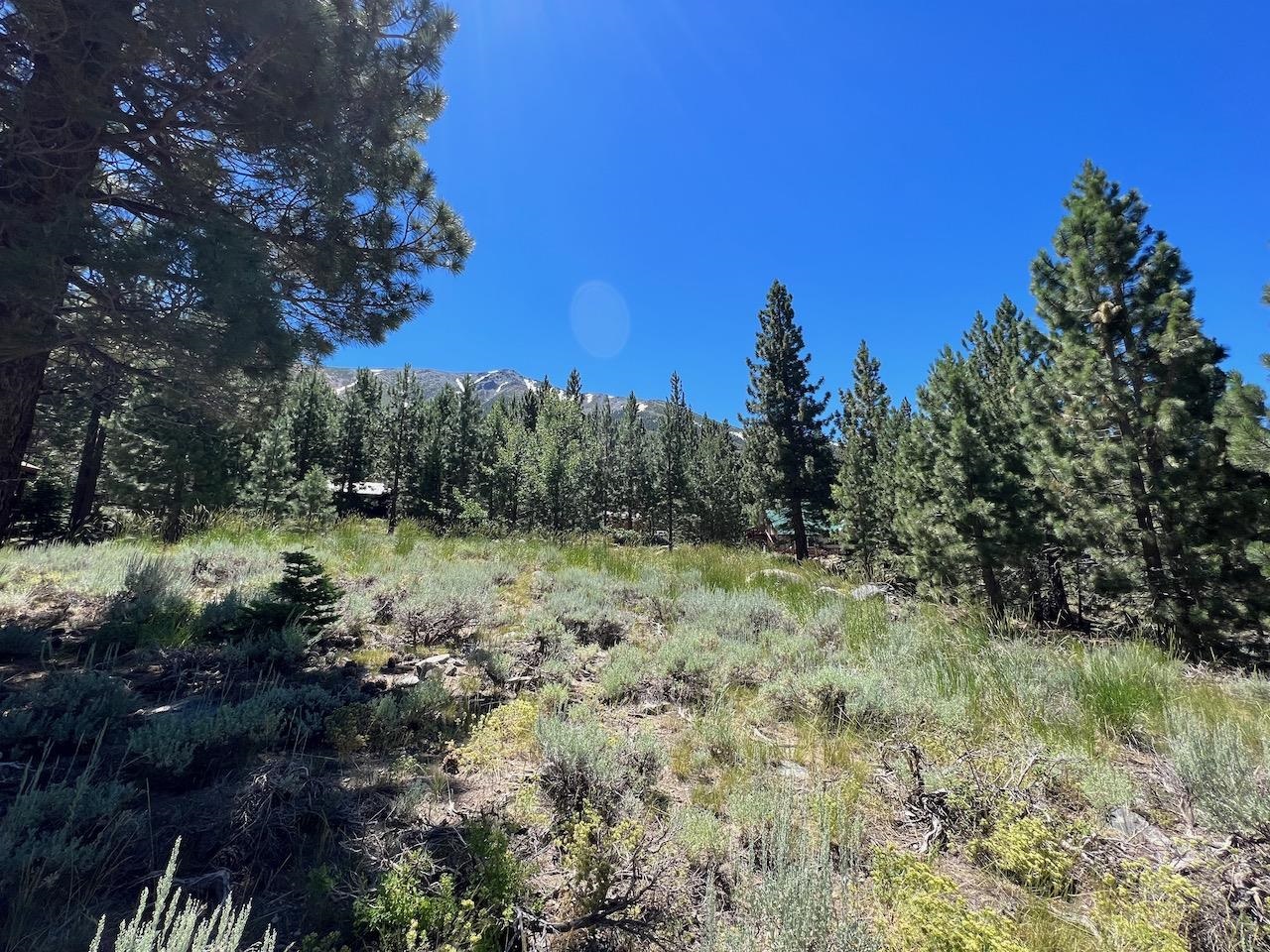 Westwood Drive Unit: Twin Lakes Subdivision lot #13