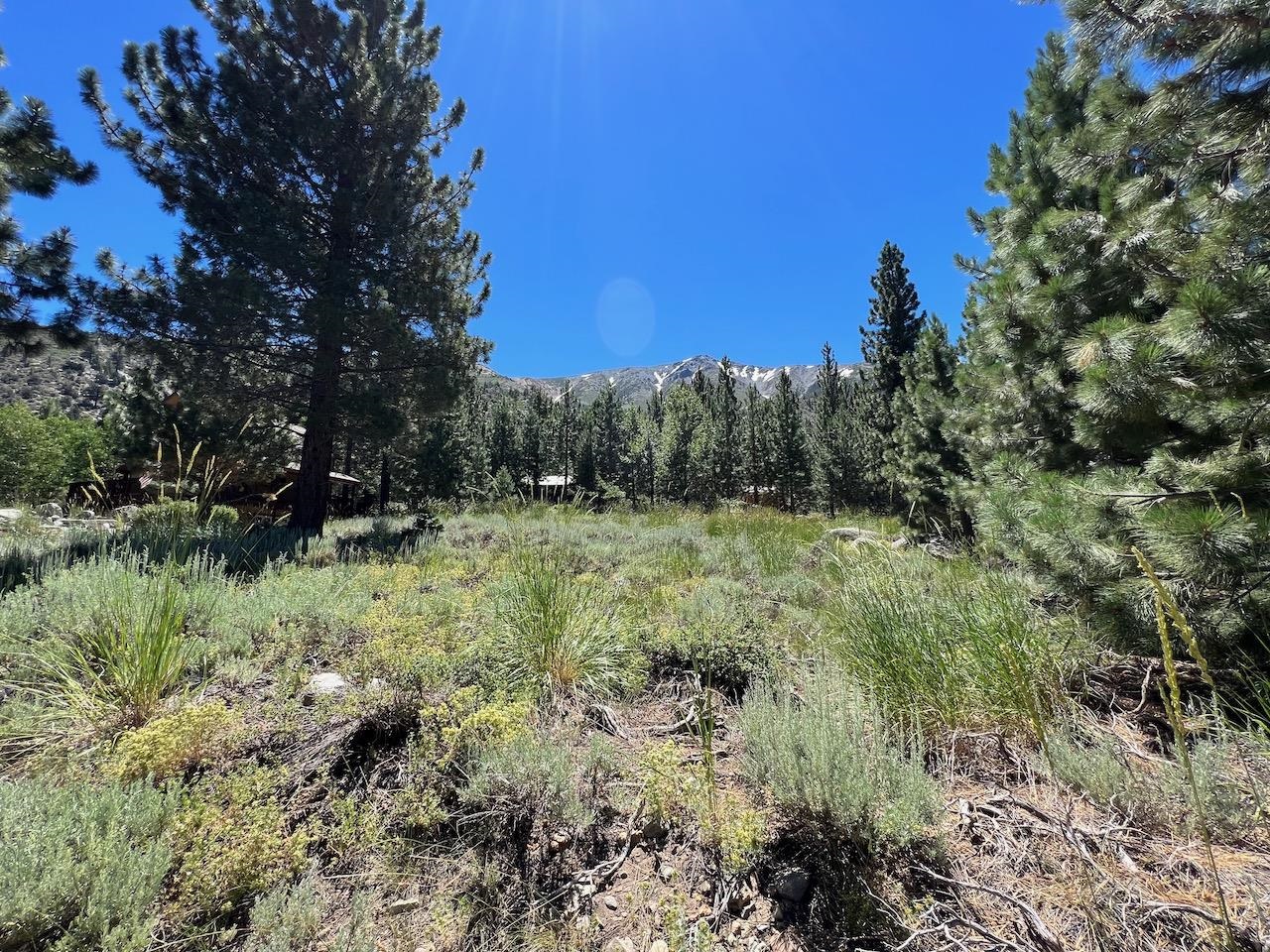 Westwood Drive Unit: Twin Lakes Subdivision lot #13