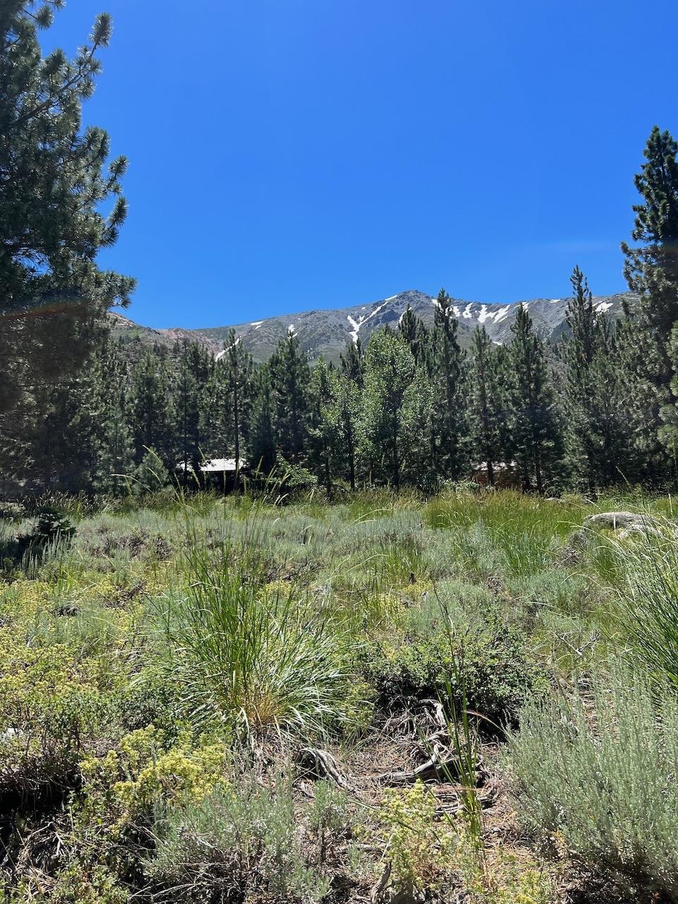 Westwood Drive Unit: Twin Lakes Subdivision lot #13