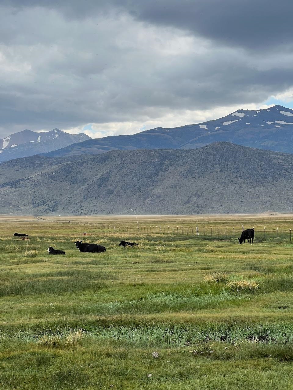 Westwood Drive Unit: Twin Lakes Subdivision lot #13