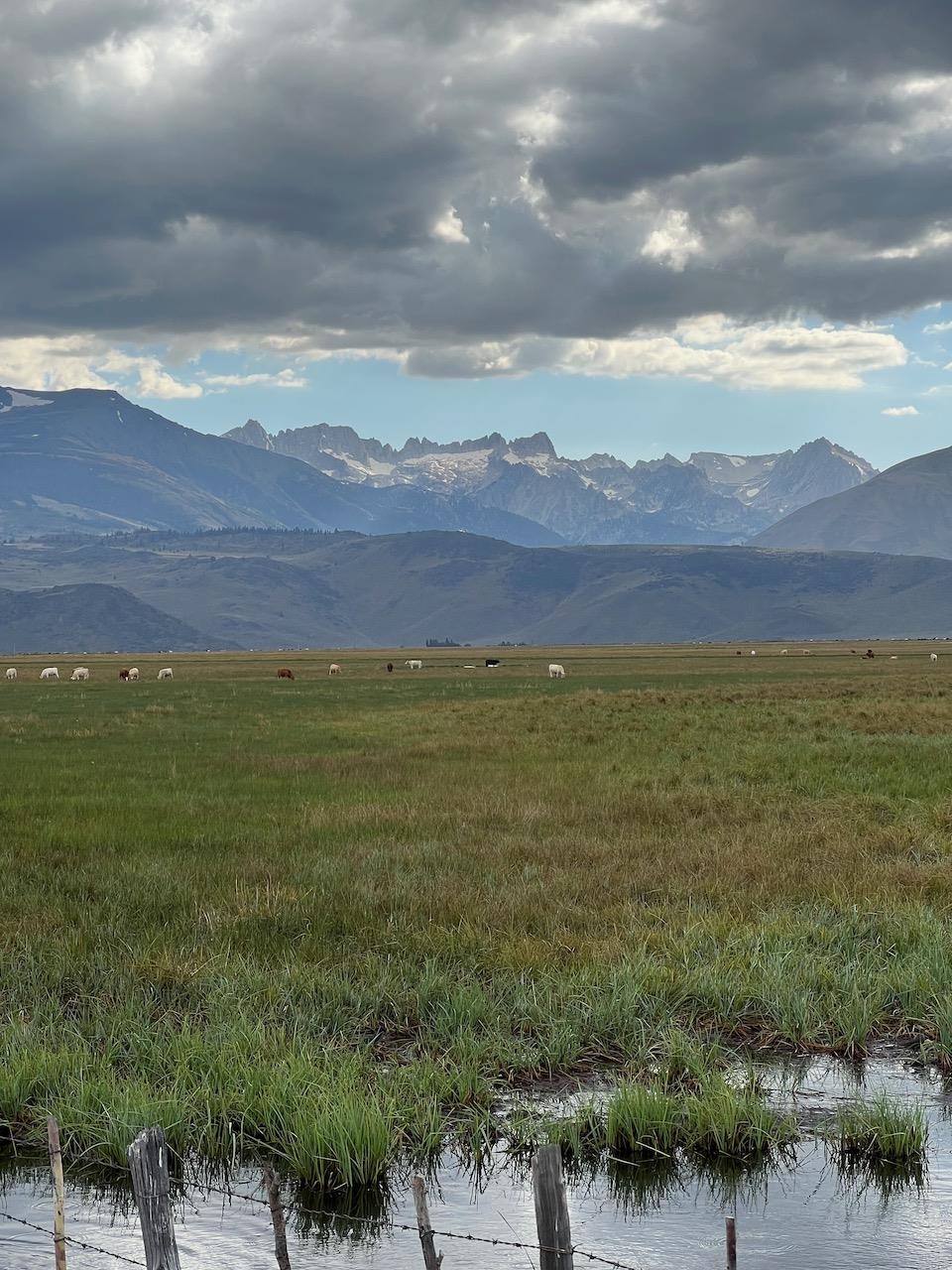 Westwood Drive Unit: Twin Lakes Subdivision lot #13