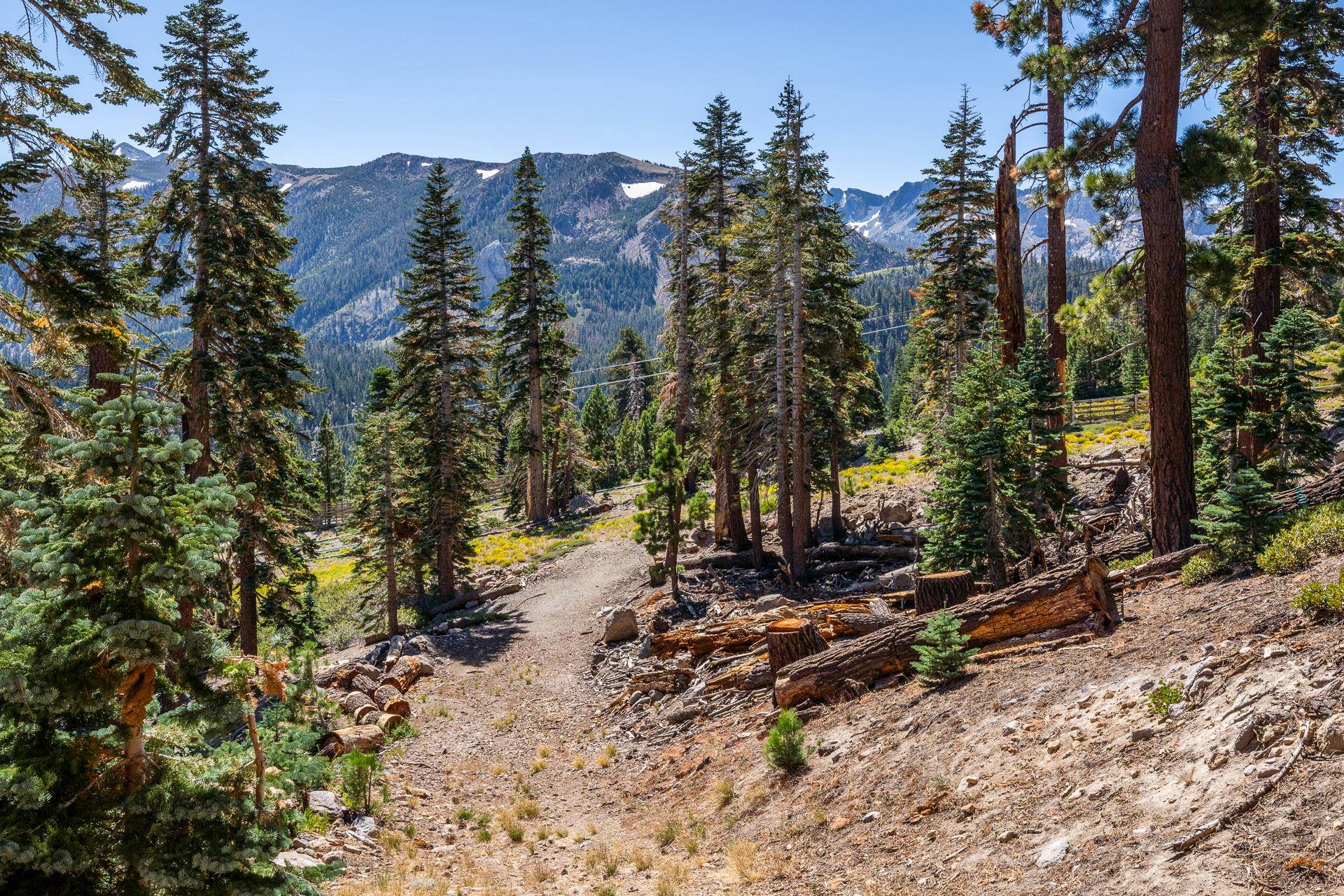 20 Bridges Ln. #106 Unit The Bridges #106