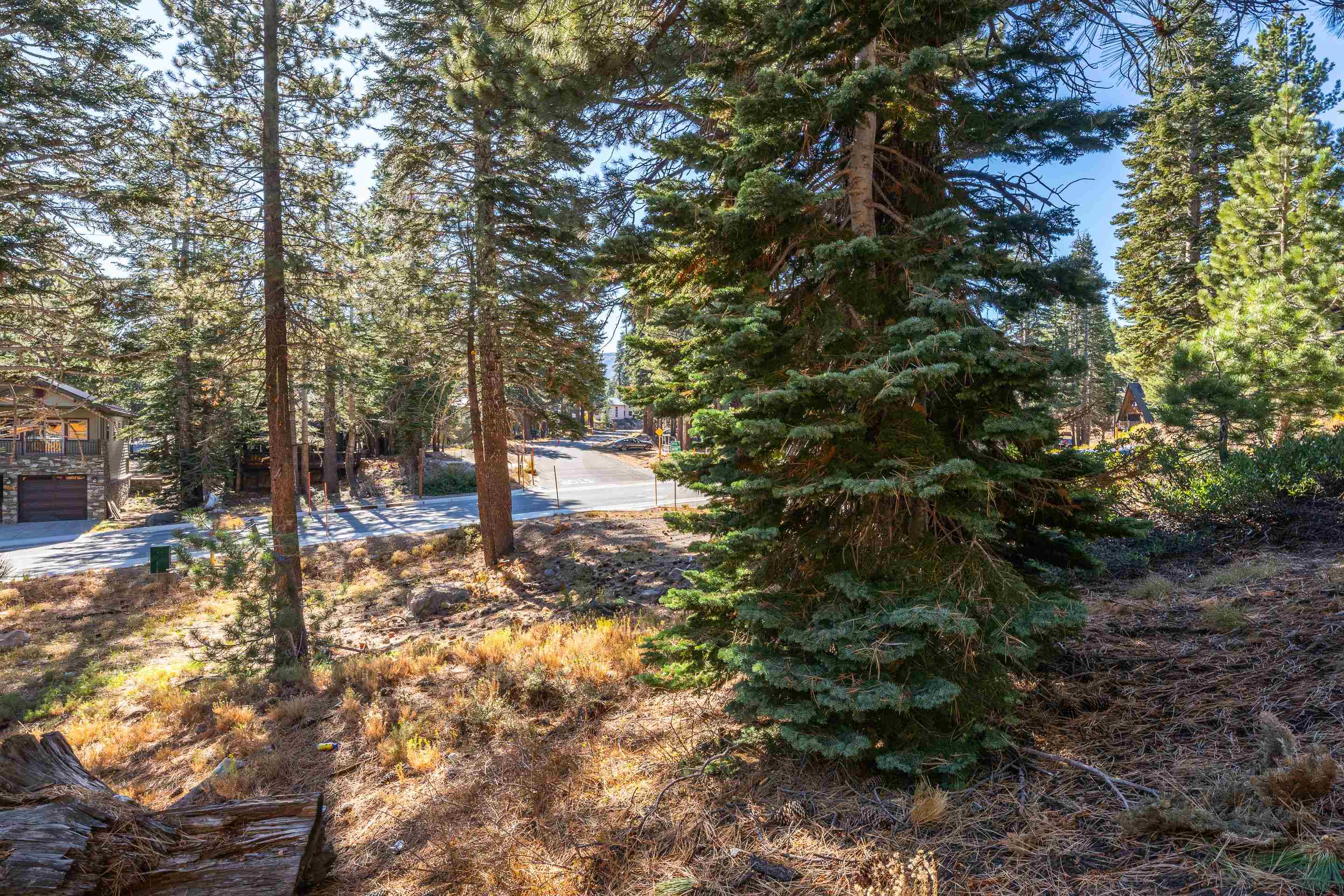 298 Canyon Blvd