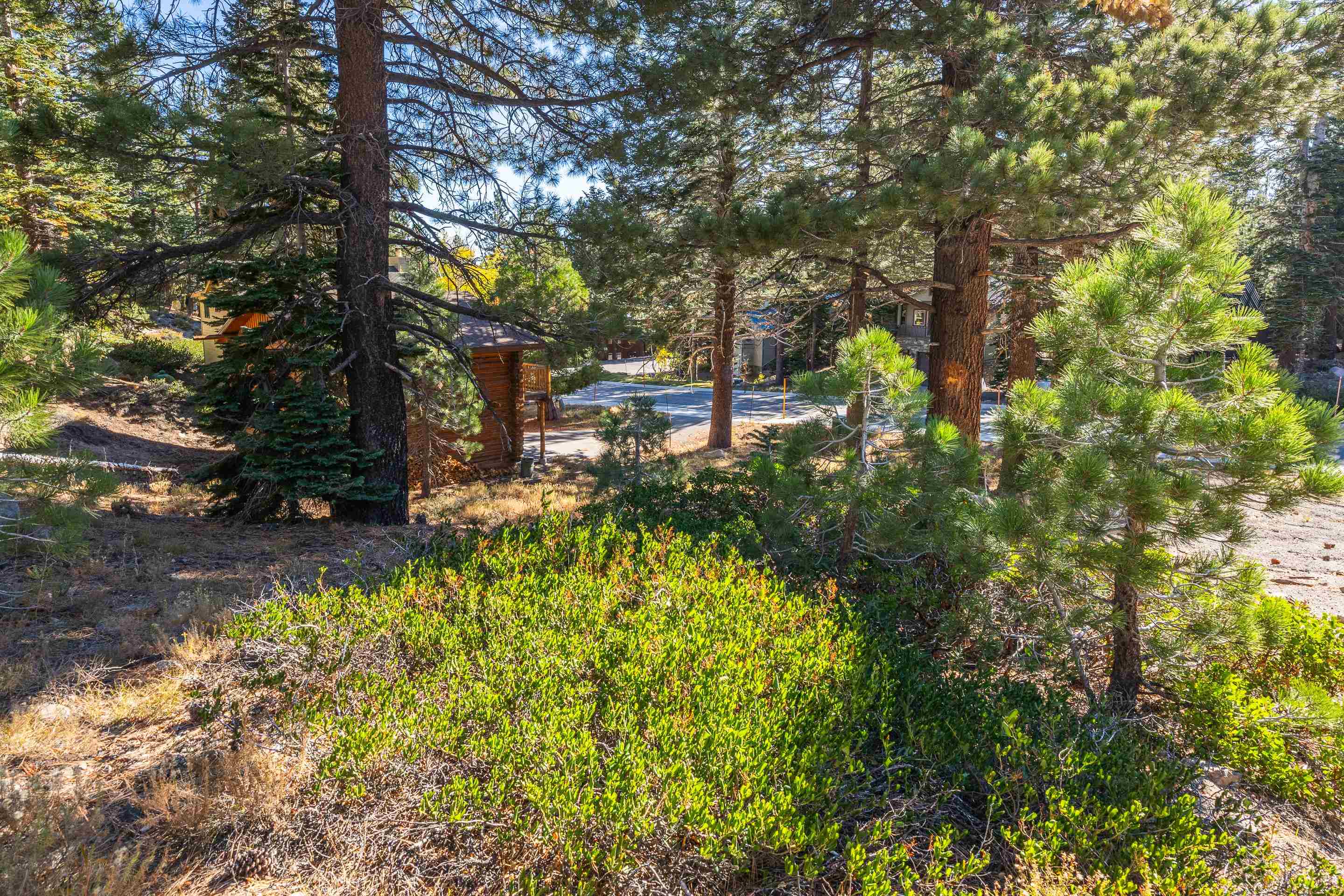 298 Canyon Blvd