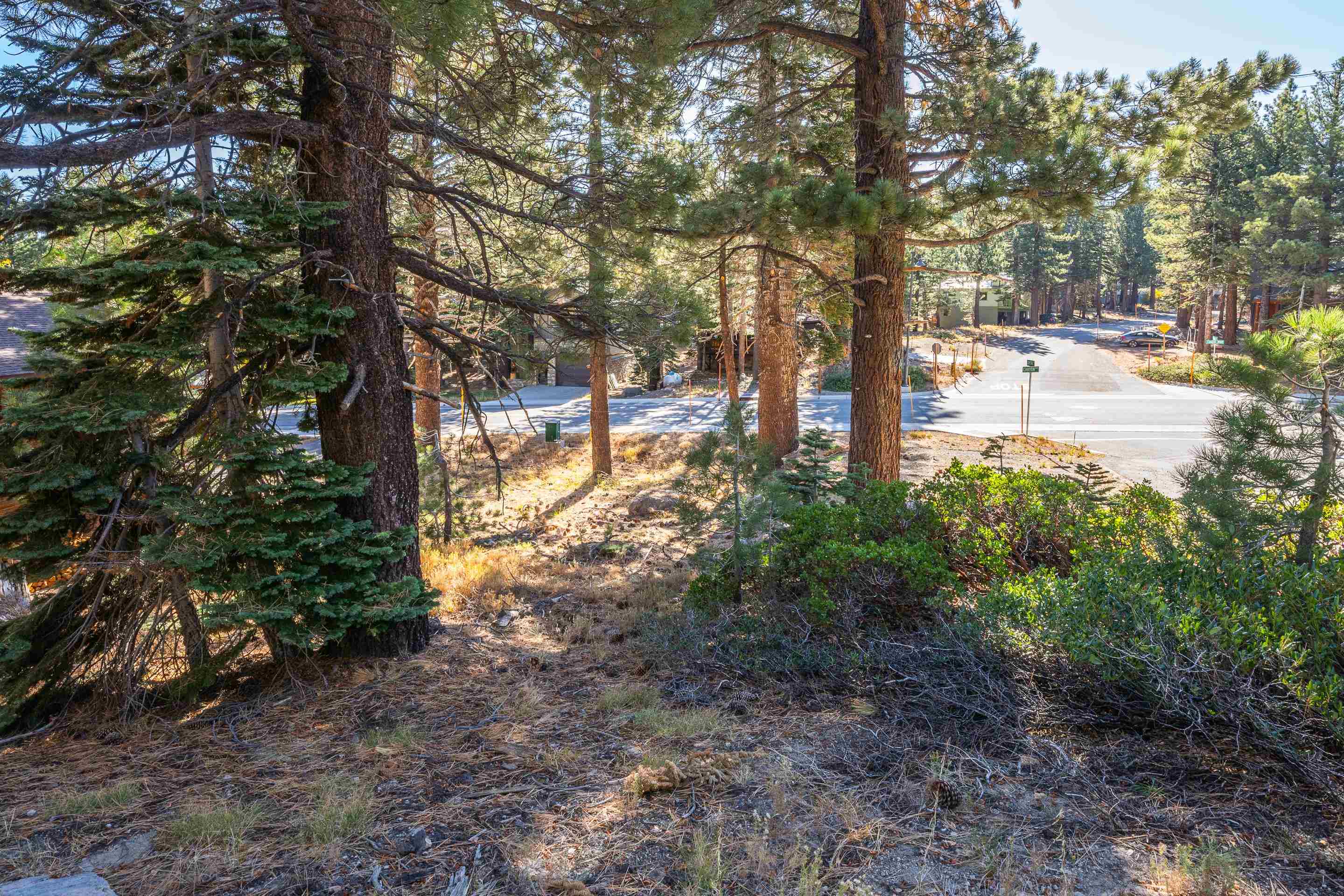 298 Canyon Blvd
