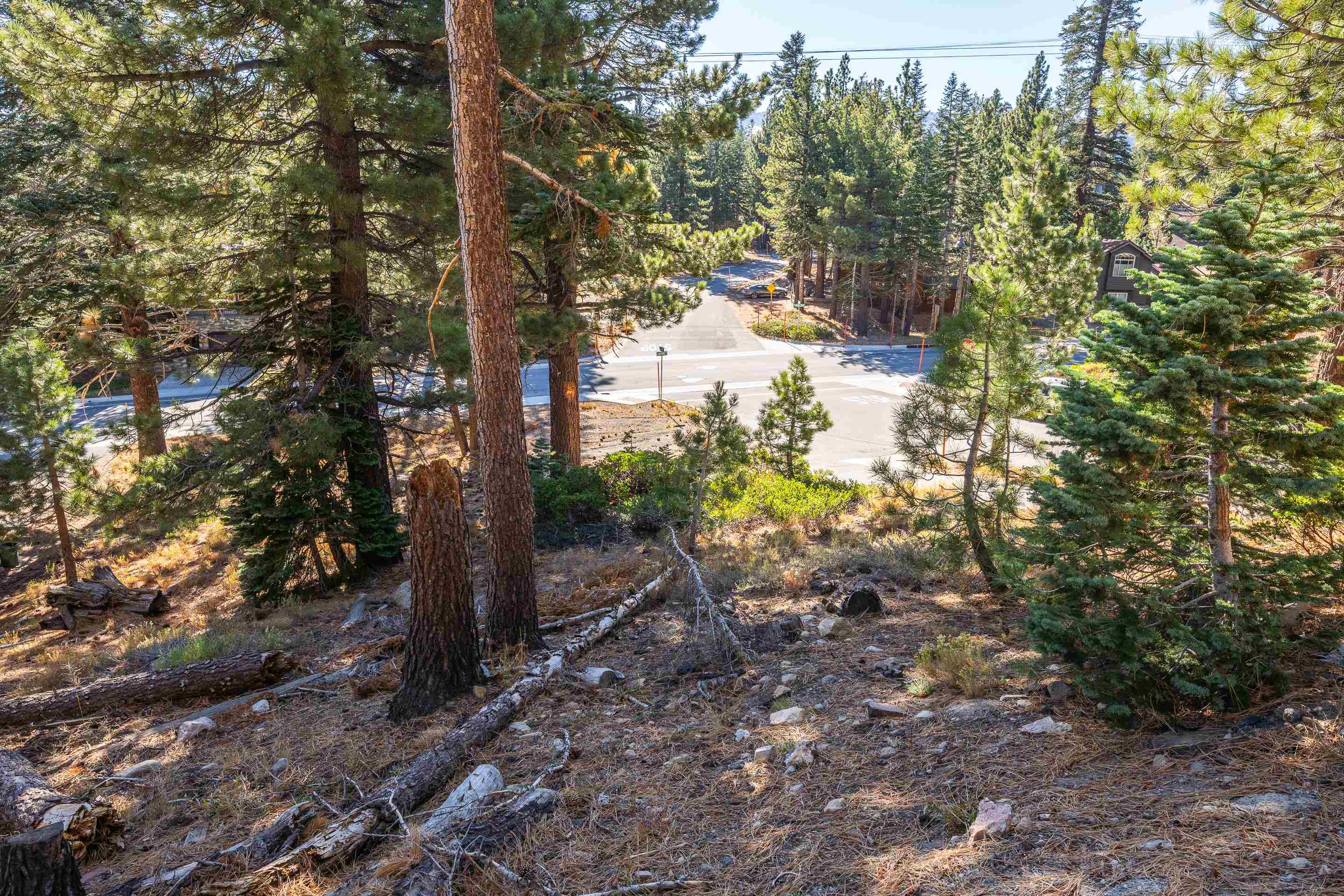 298 Canyon Blvd