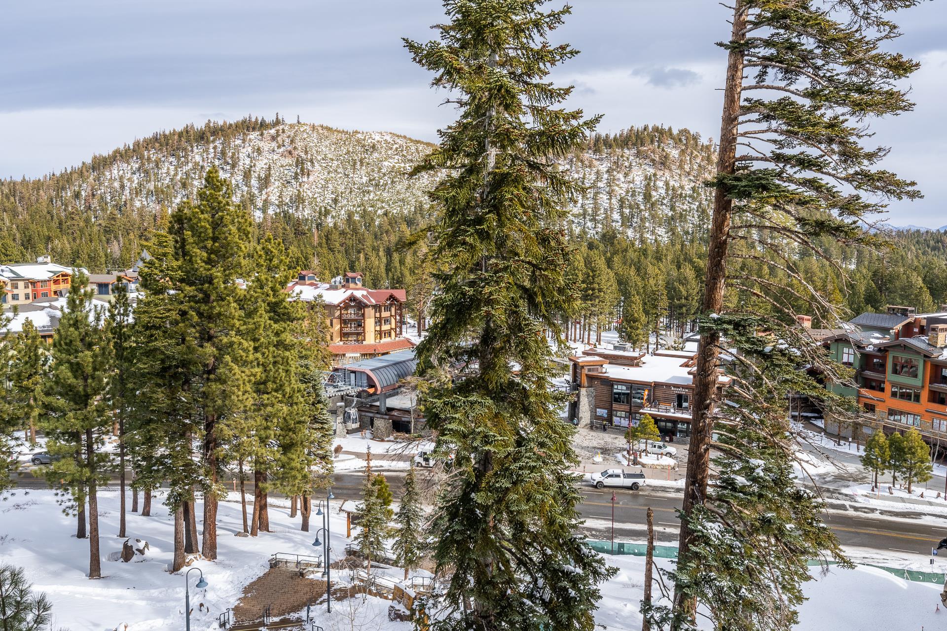 50 Hillside Drive #532