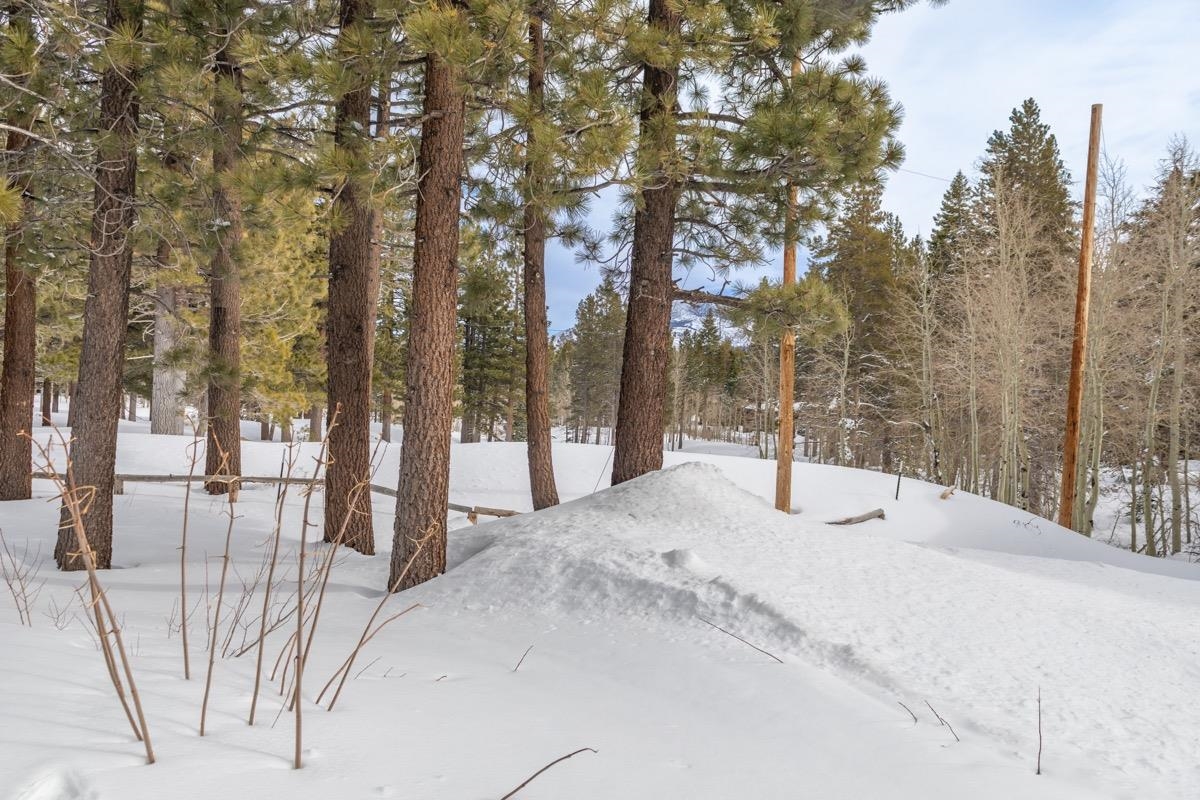 1500 Lodestar #104 Drive Unit: Mammoth Green #104