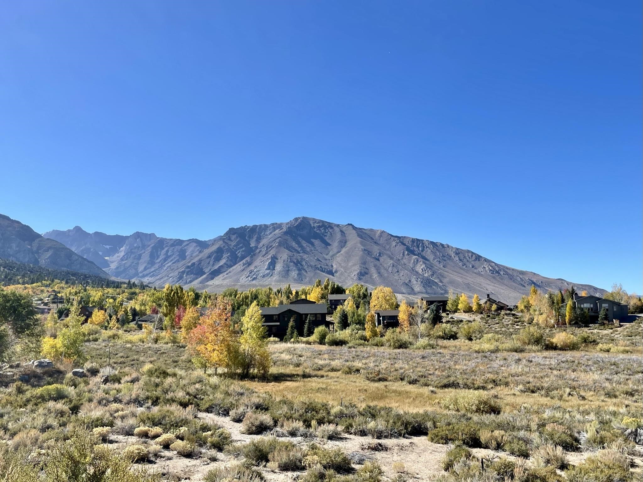 Lot 11 Larkspur Drive