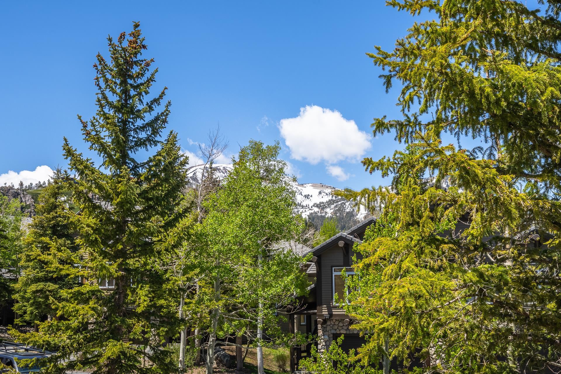 958 Fairway Circle