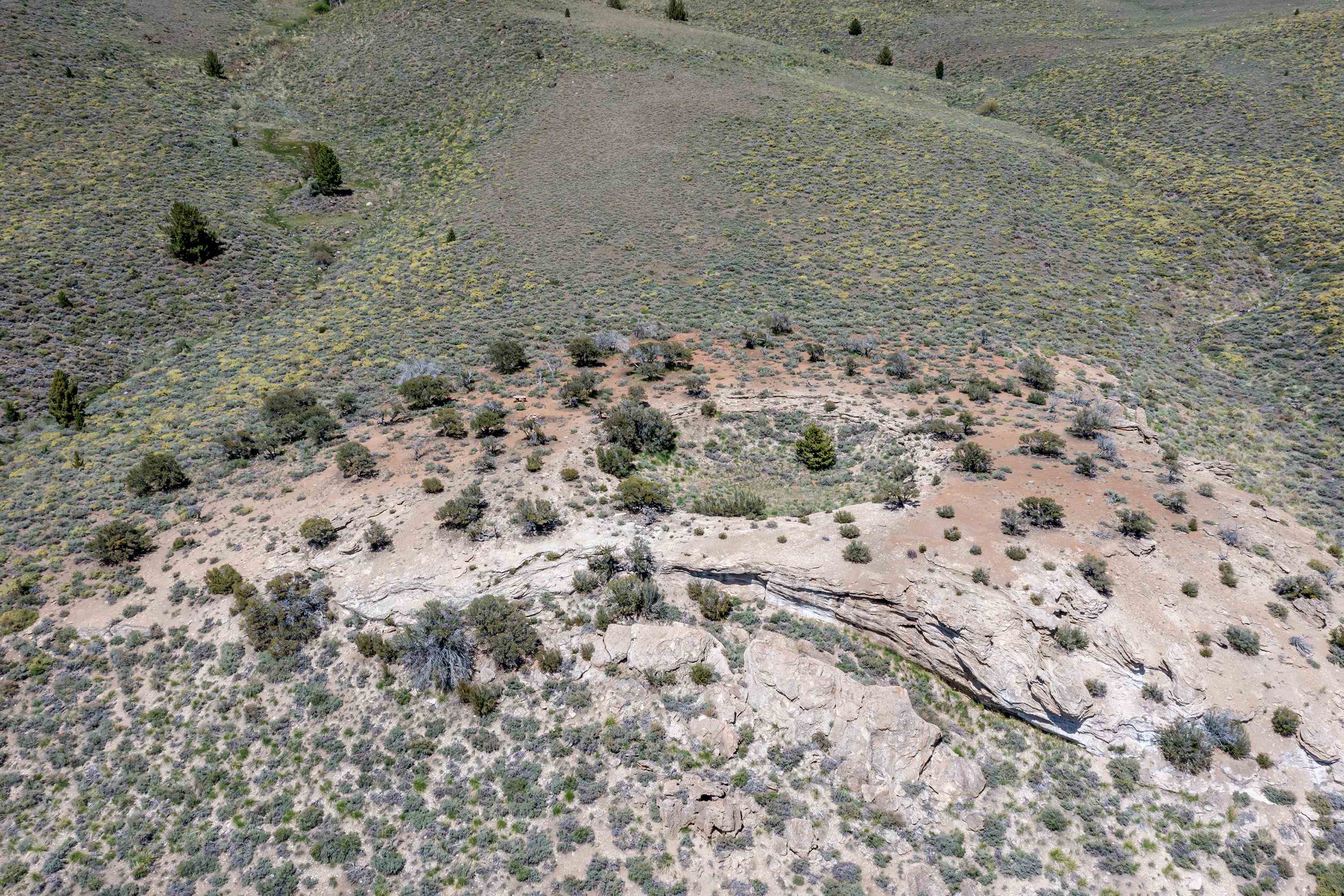 APN: 006-120-040-000, Hwy 395