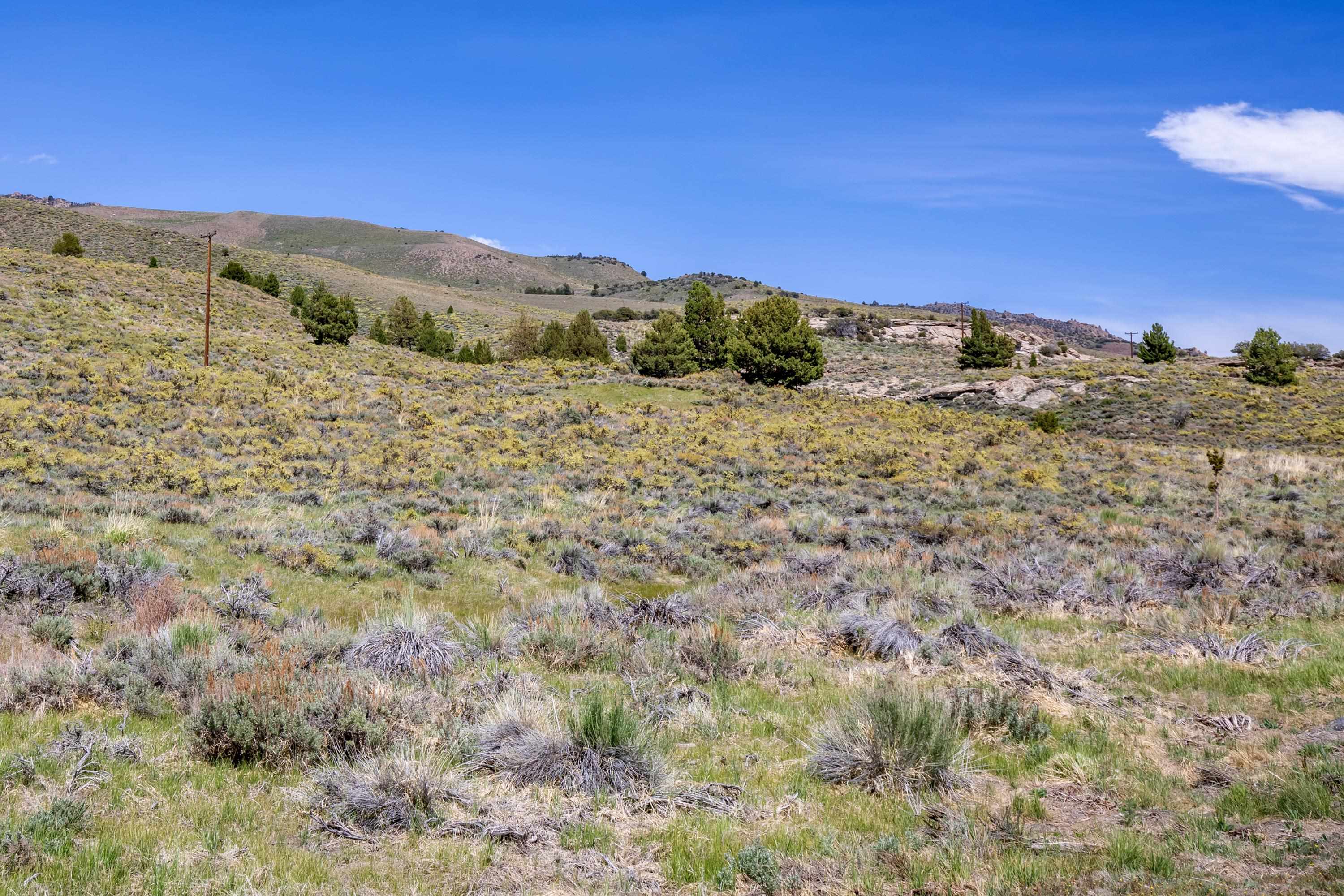 APN: 006-120-040-000, Hwy 395