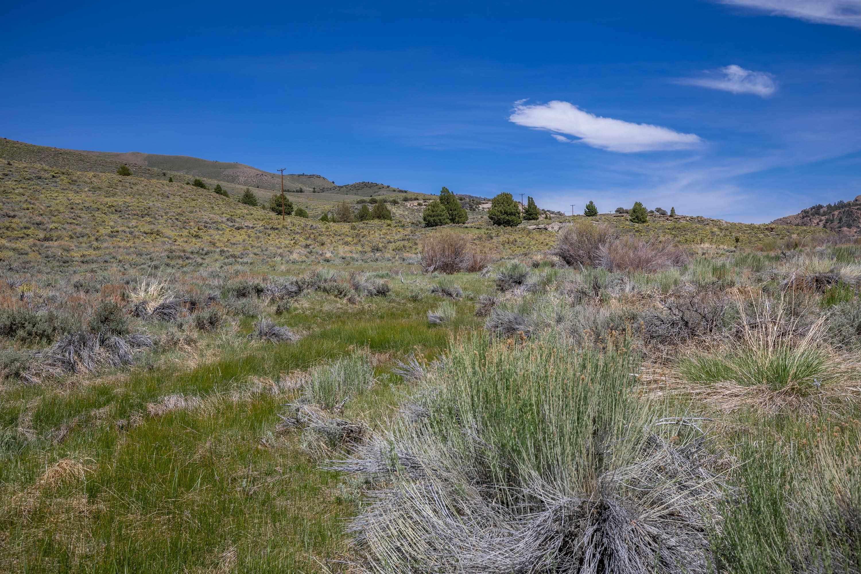 APN: 006-120-040-000, Hwy 395