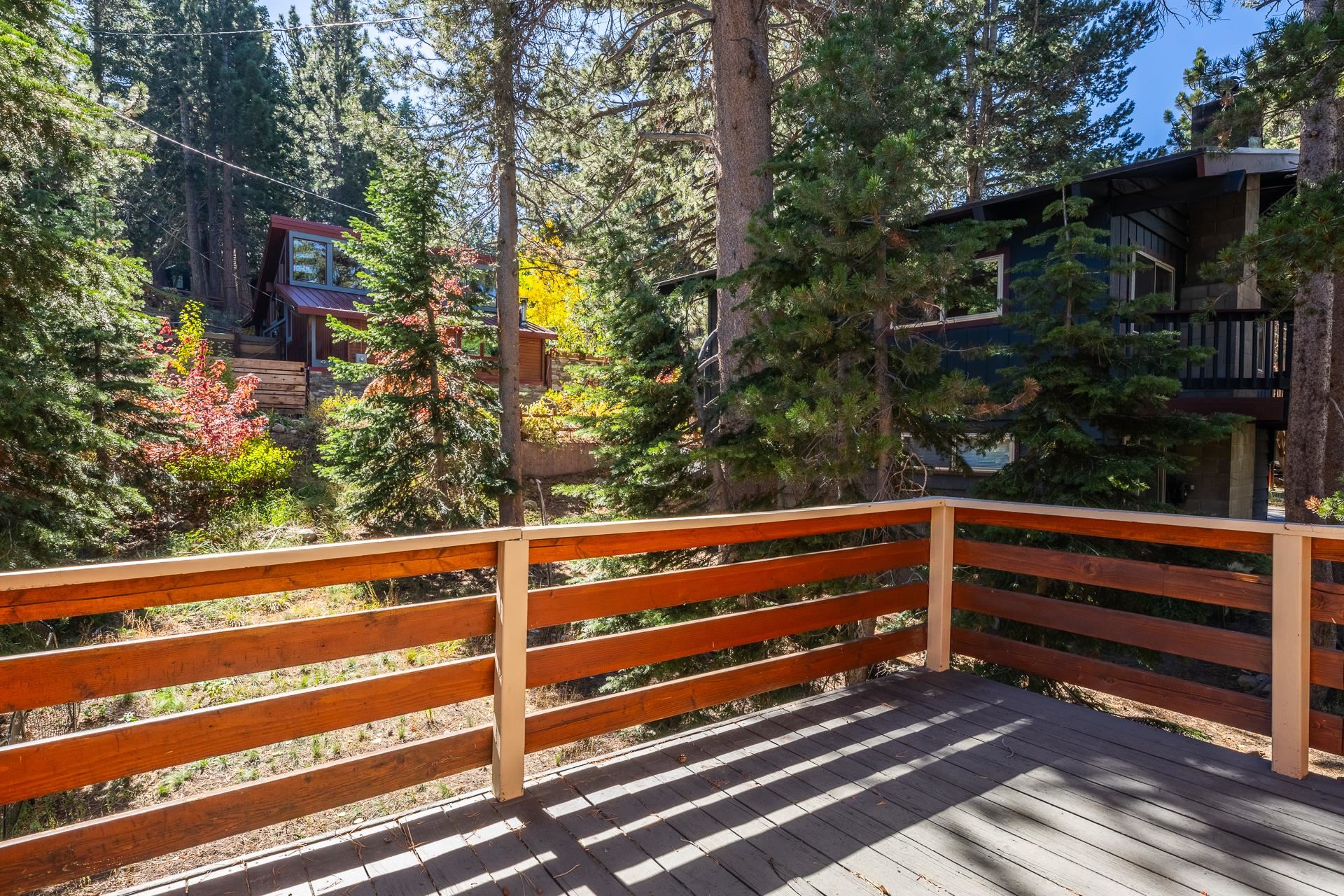 1893 Old Mammoth Road