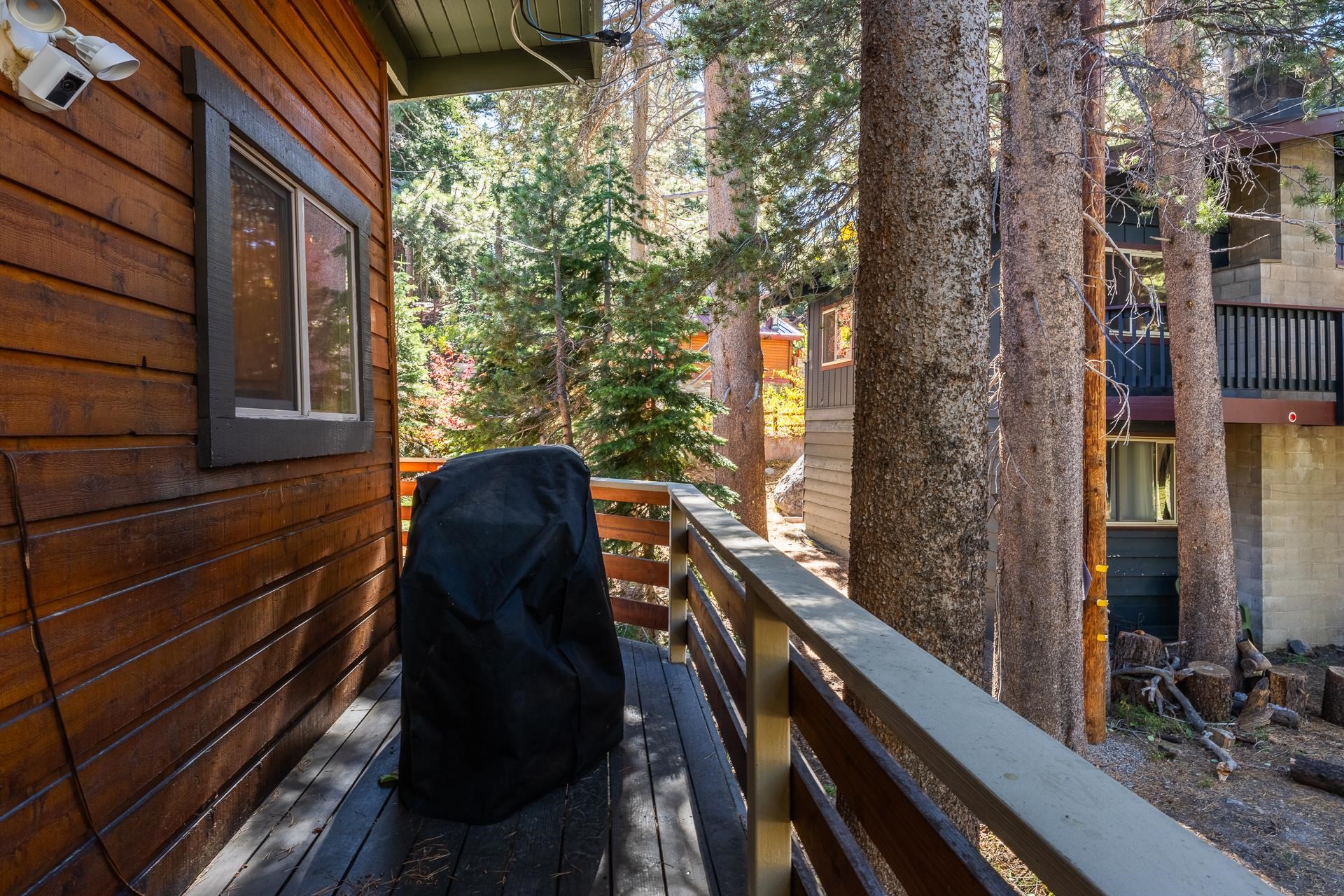 1893 Old Mammoth Road