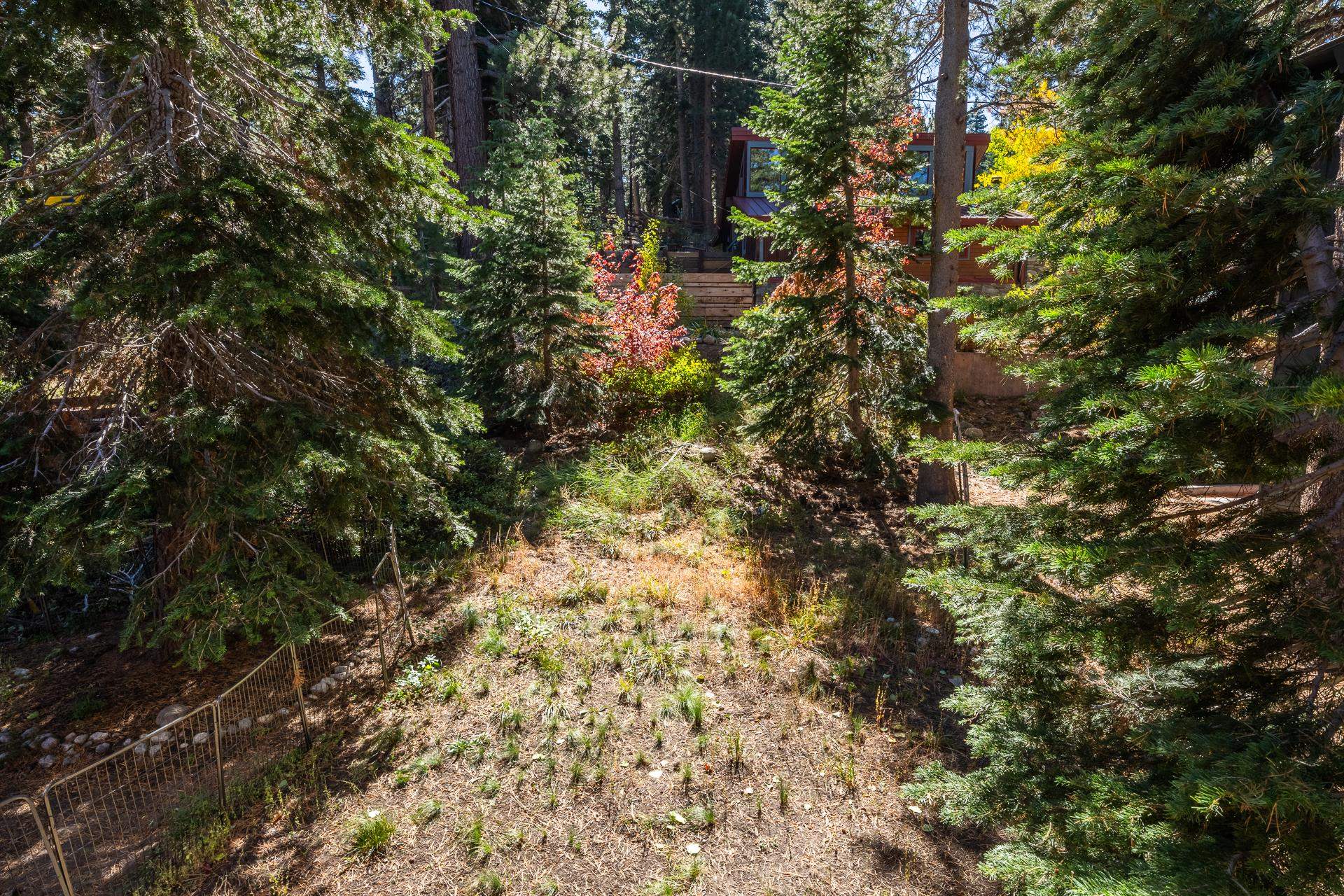 1893 Old Mammoth Road