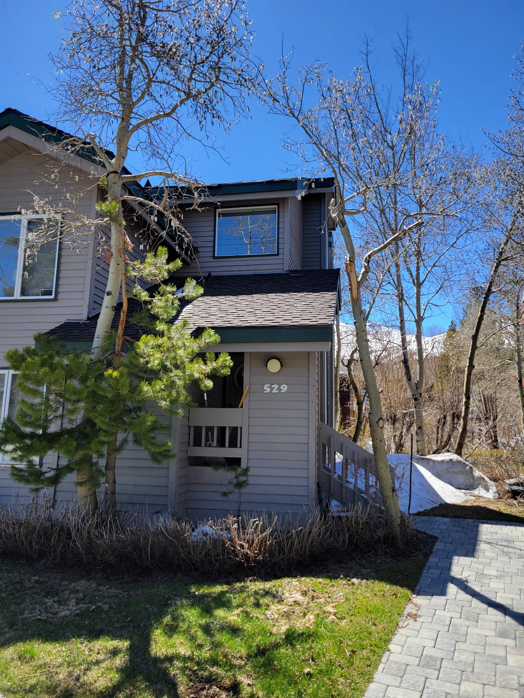 529 Golden Creek Road Unit: Snowcreek IV #529