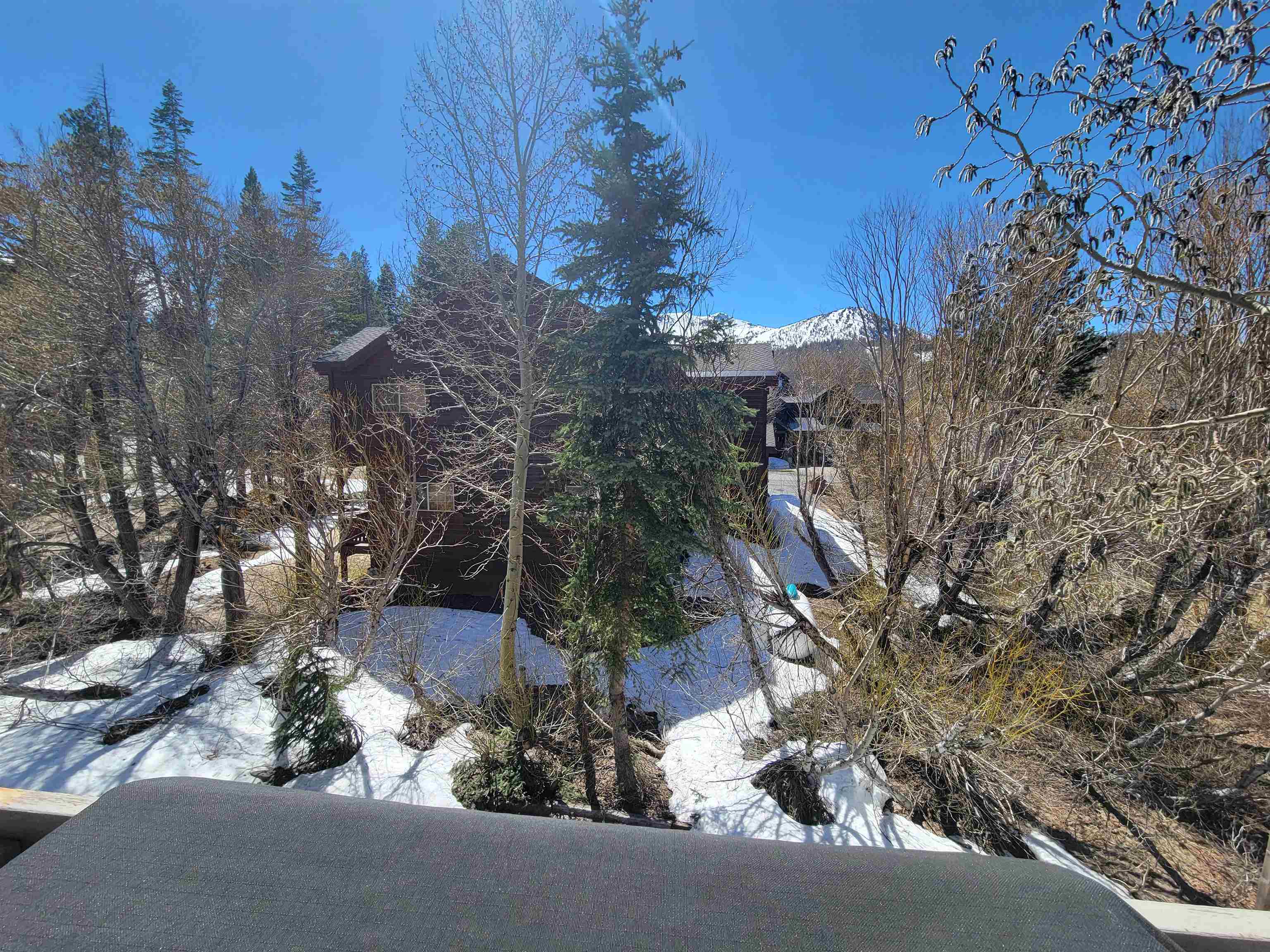 529 Golden Creek Road Unit: Snowcreek IV #529