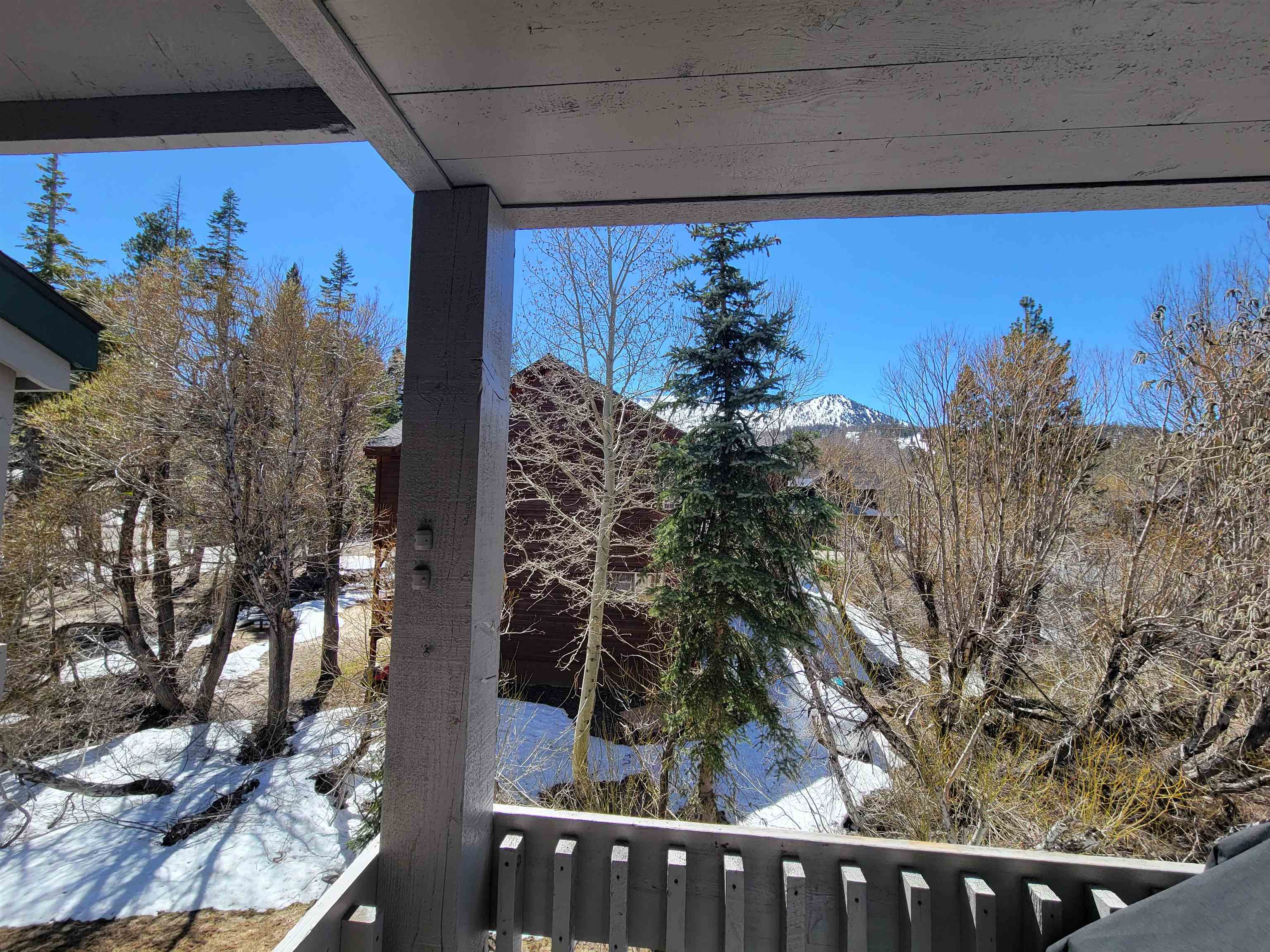 529 Golden Creek Road Unit: Snowcreek IV #529