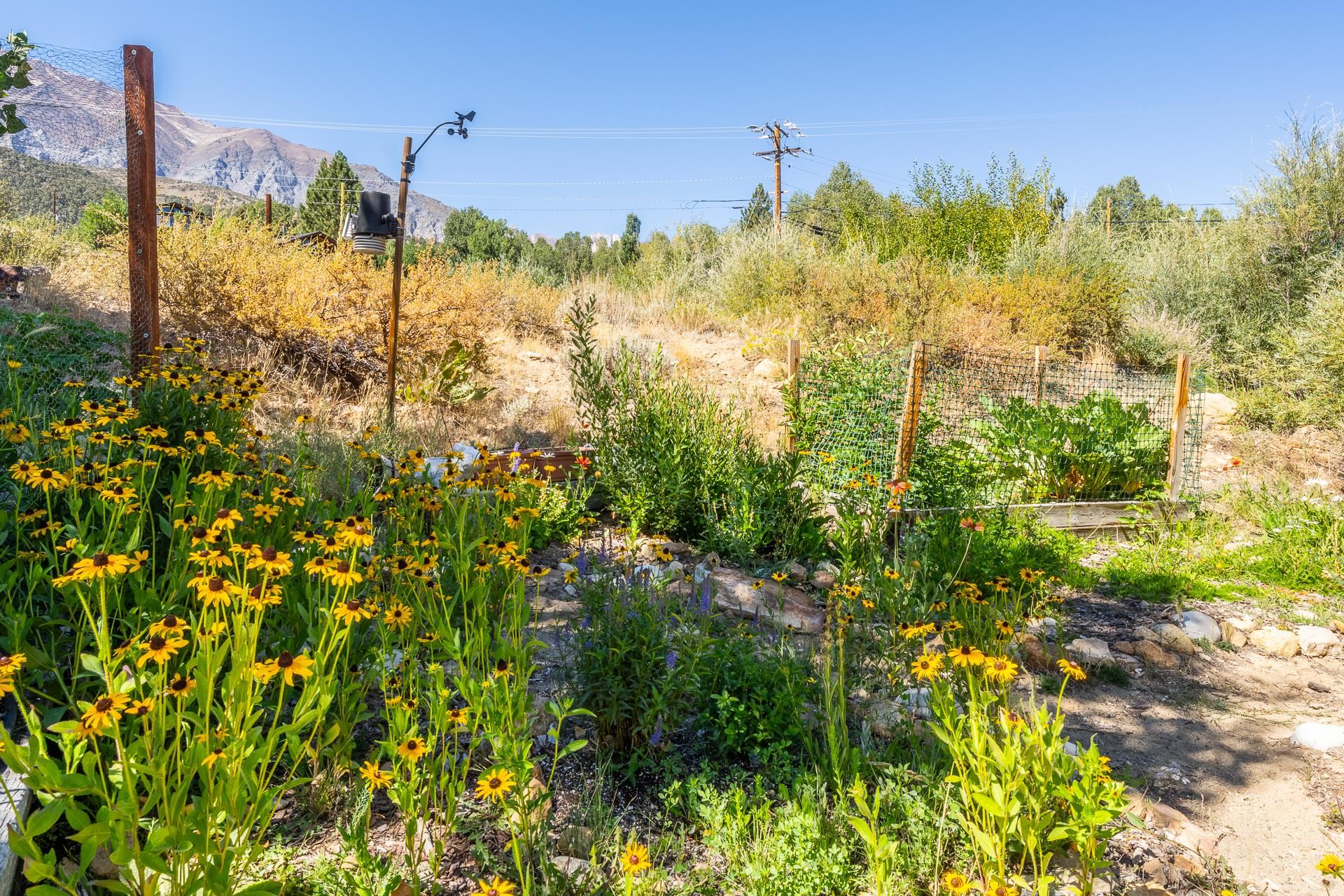 48 Aspen Terrace #10