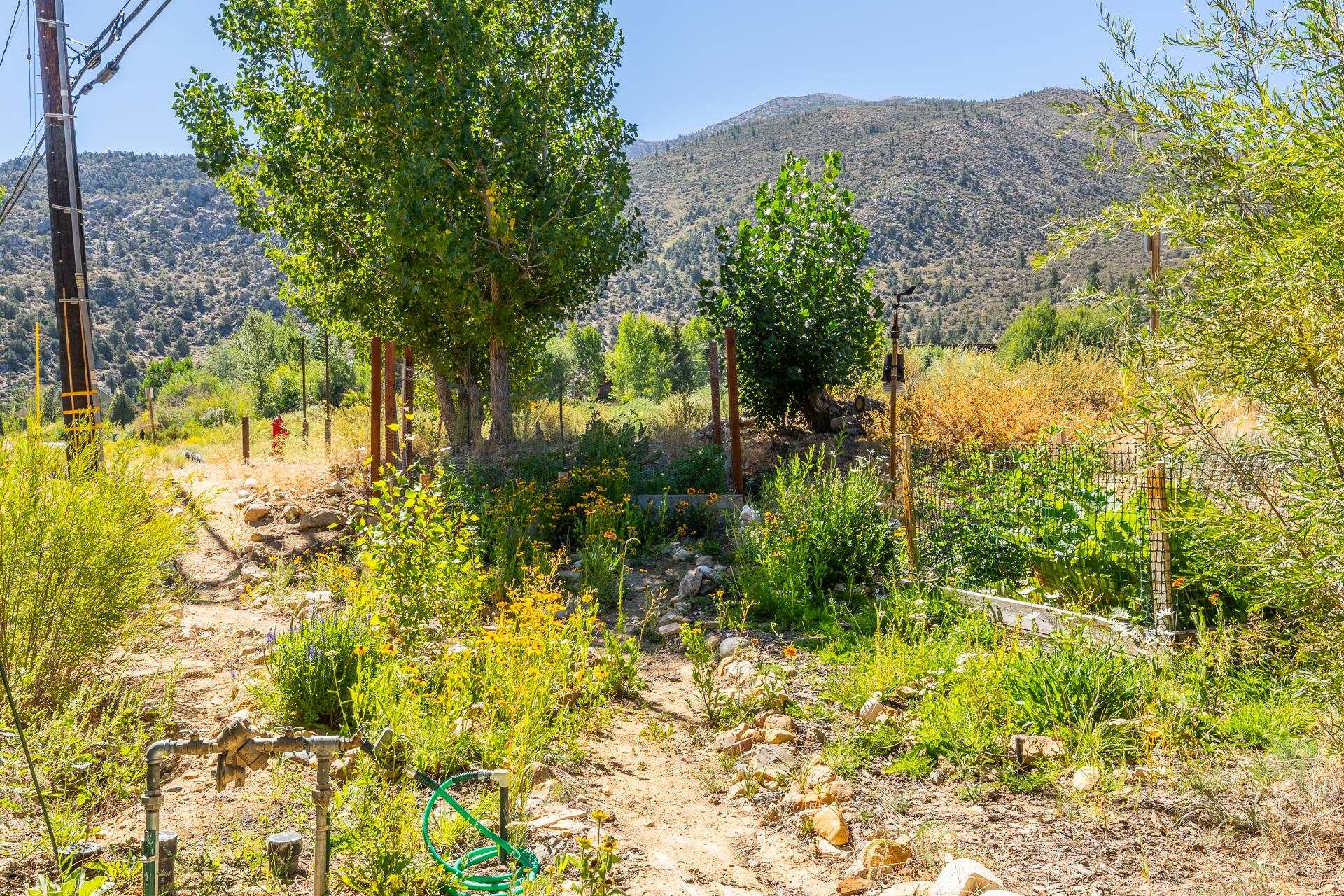 48 Aspen Terrace #10