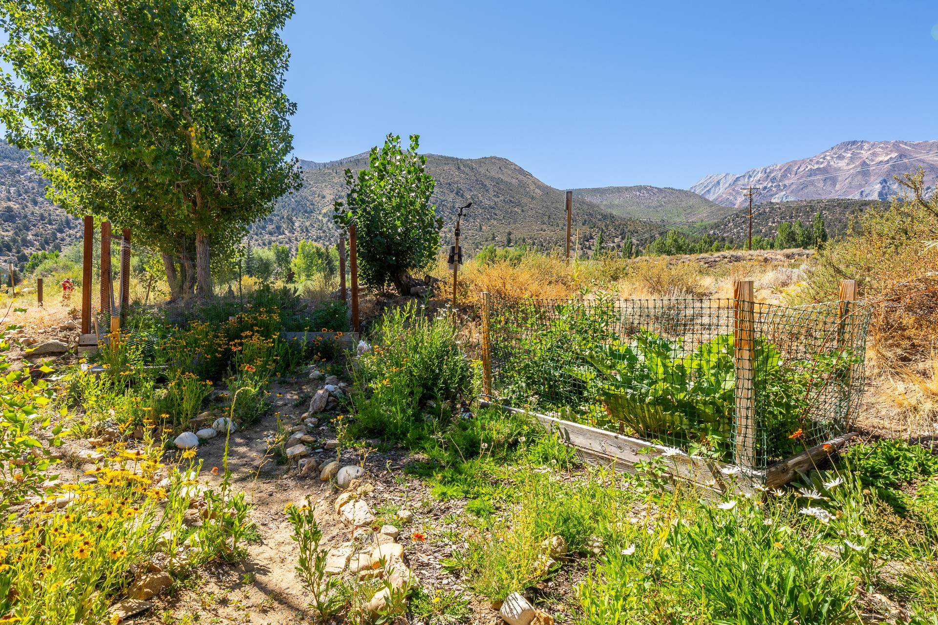 48 Aspen Terrace #10