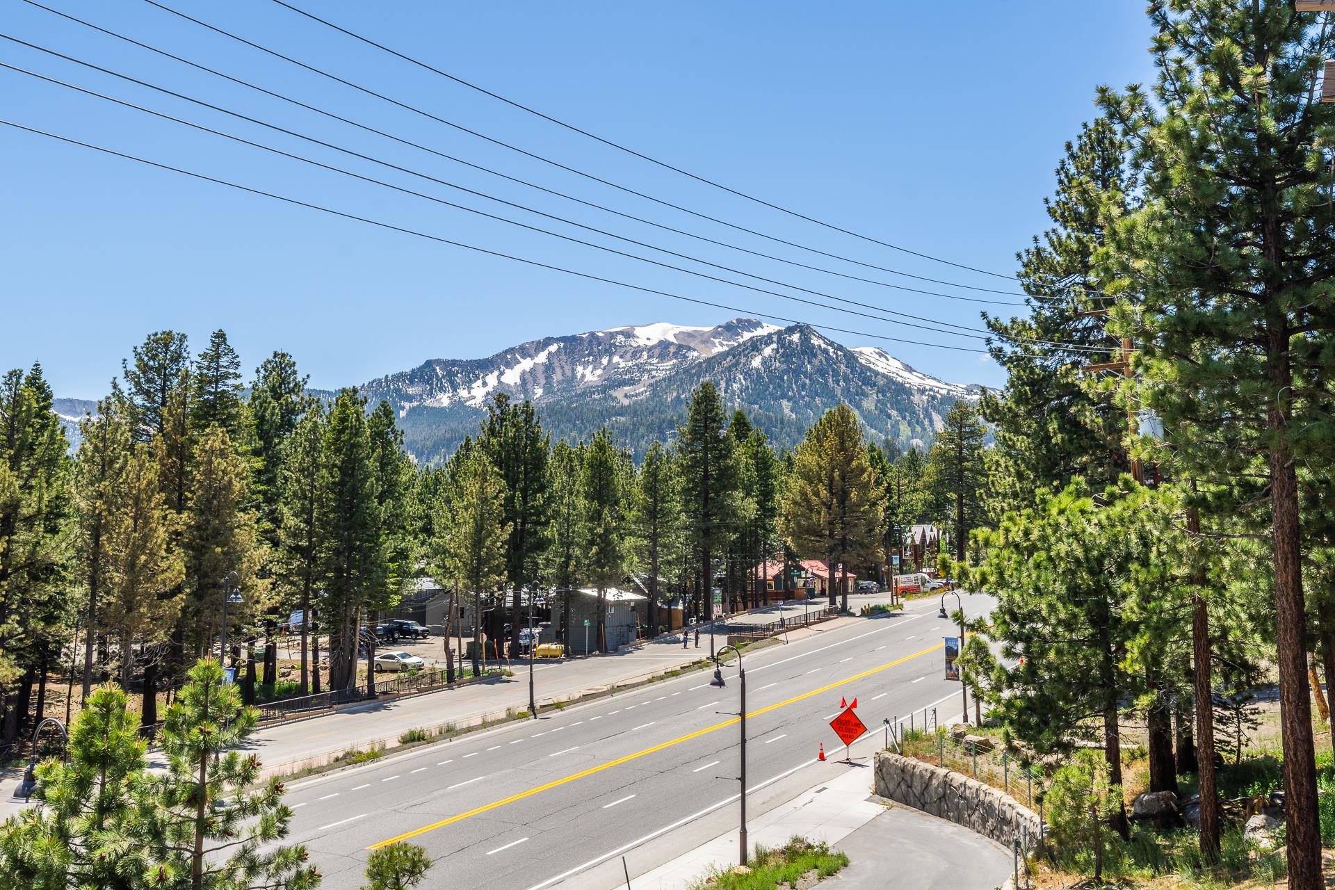 3590 Main St #14 Unit: Nordica #14