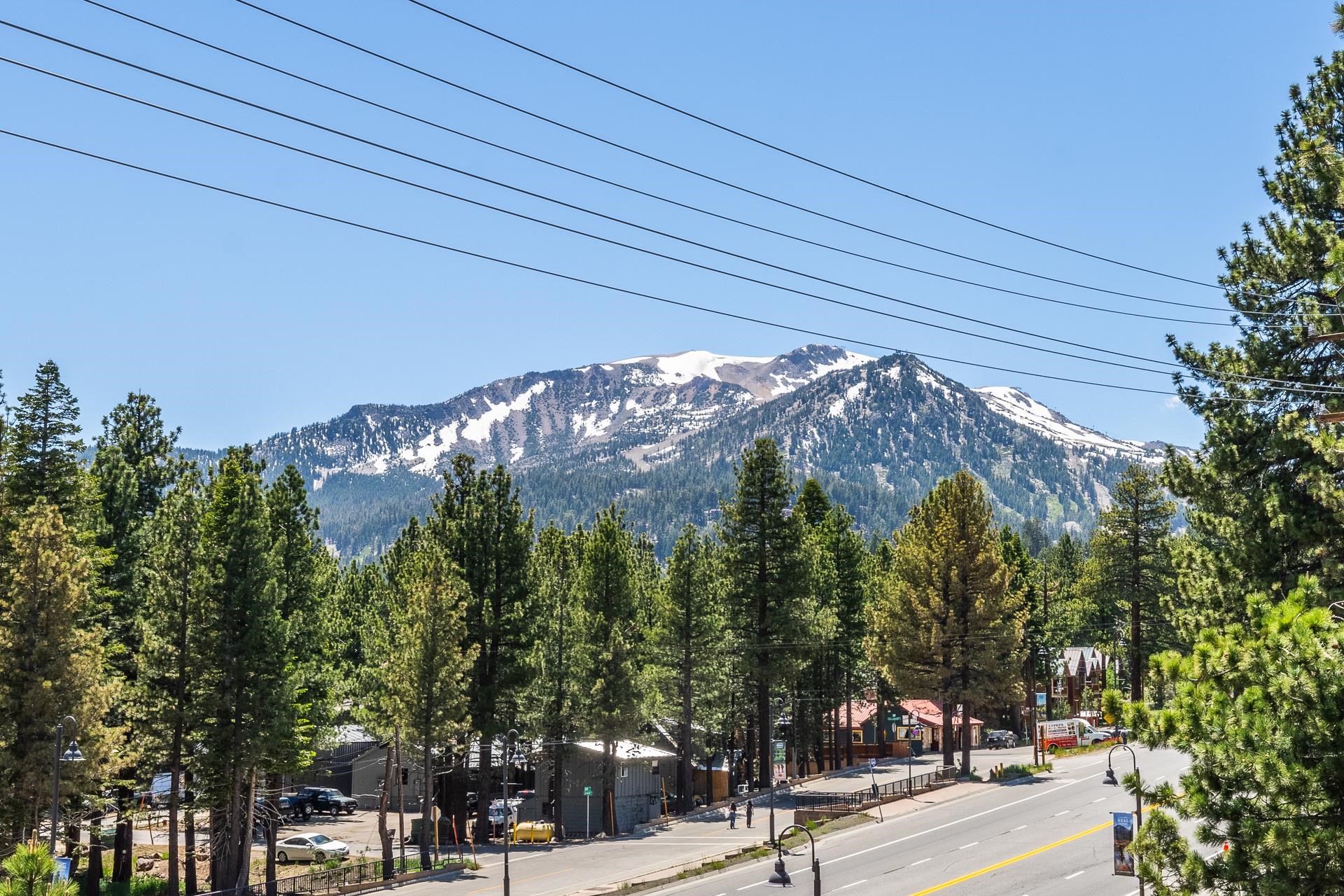 3590 Main St #14 Unit: Nordica #14