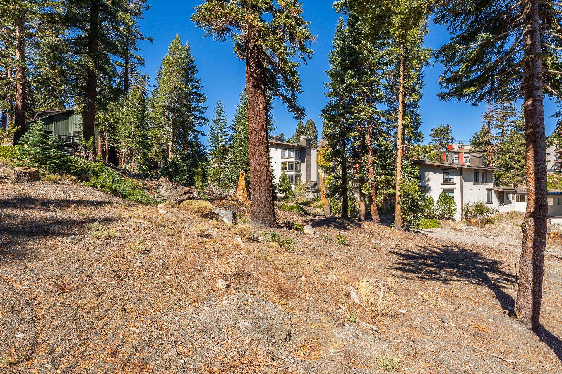 306 Davison Rd Road