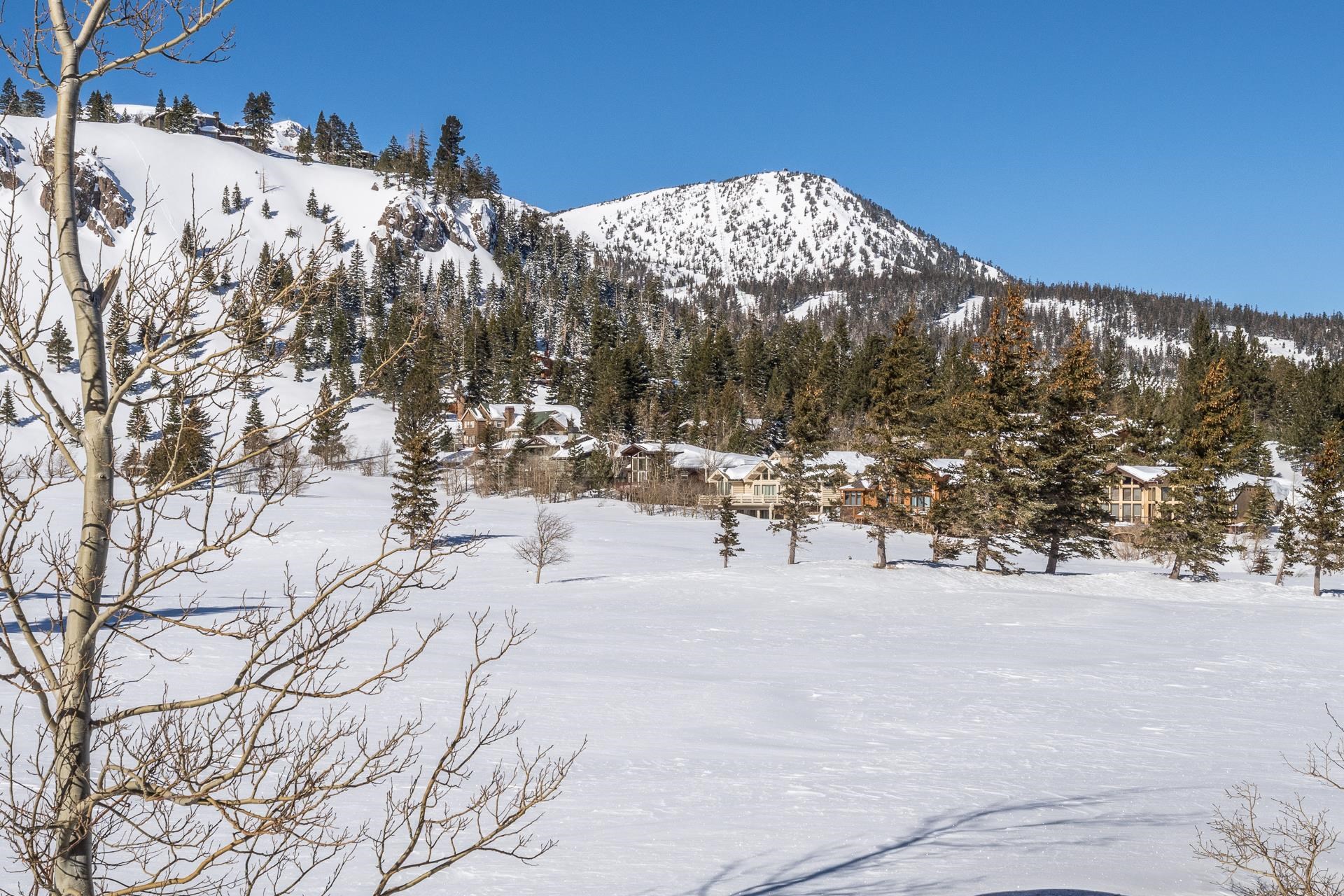 747 Fairway Circle Unit: Snowcreek V #747