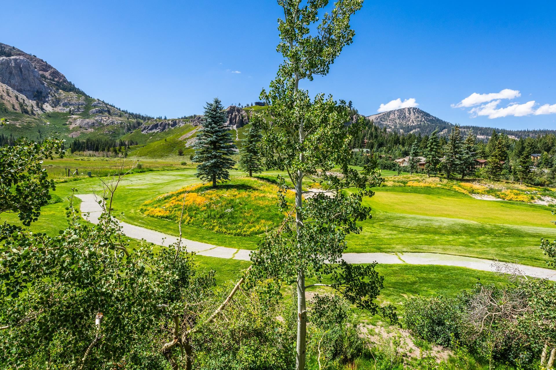 747 Fairway Circle Unit: Snowcreek V #747